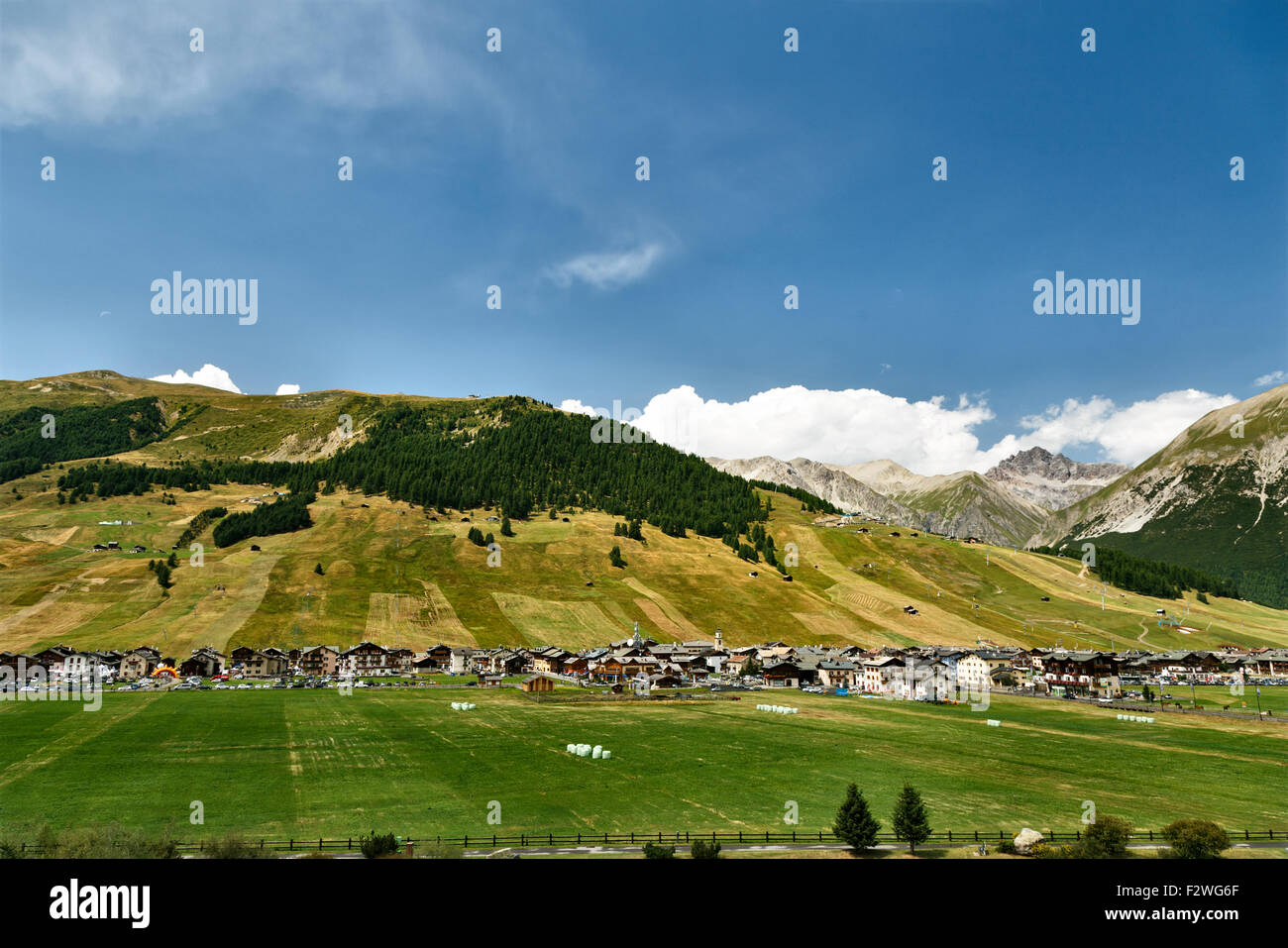 Paysage pittoresque vue d'une vallée verdoyante et des sommets alpins à Livigno, Lombardie, Italie, une attraction touristique populaire pour summ Banque D'Images