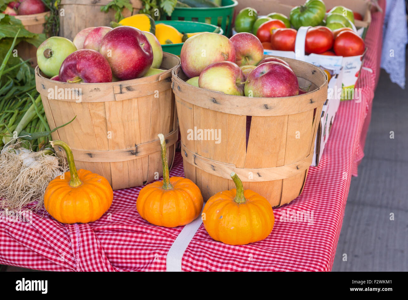 Des pommes et des citrouilles au marché de l'alimentation locale (dimanche marché de fermiers à Baie Saint Paul, Québec, Canada) Banque D'Images