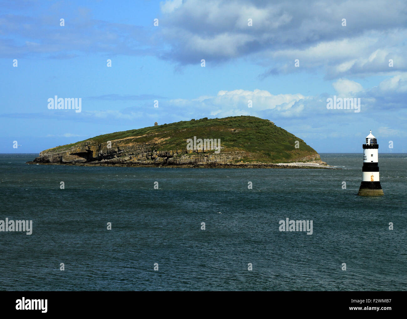 Macareux moine, île, Banque D'Images