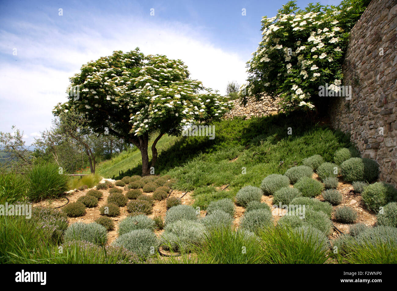 Hillside villa de campagne italienne Banque D'Images