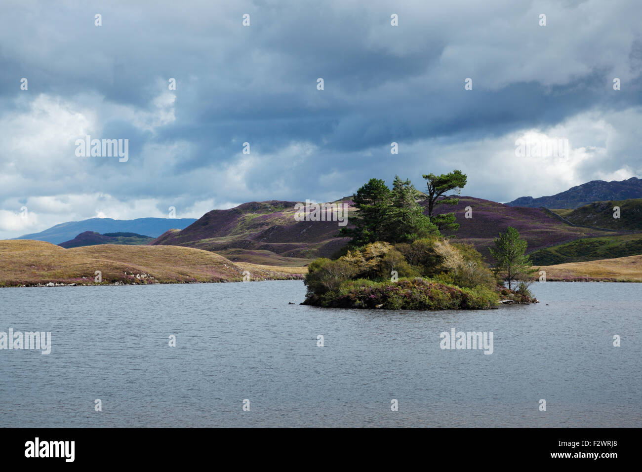 Cregennan les lacs. Le Parc National de Snowdonia. Gwynedd. Le Pays de Galles. UK. Banque D'Images