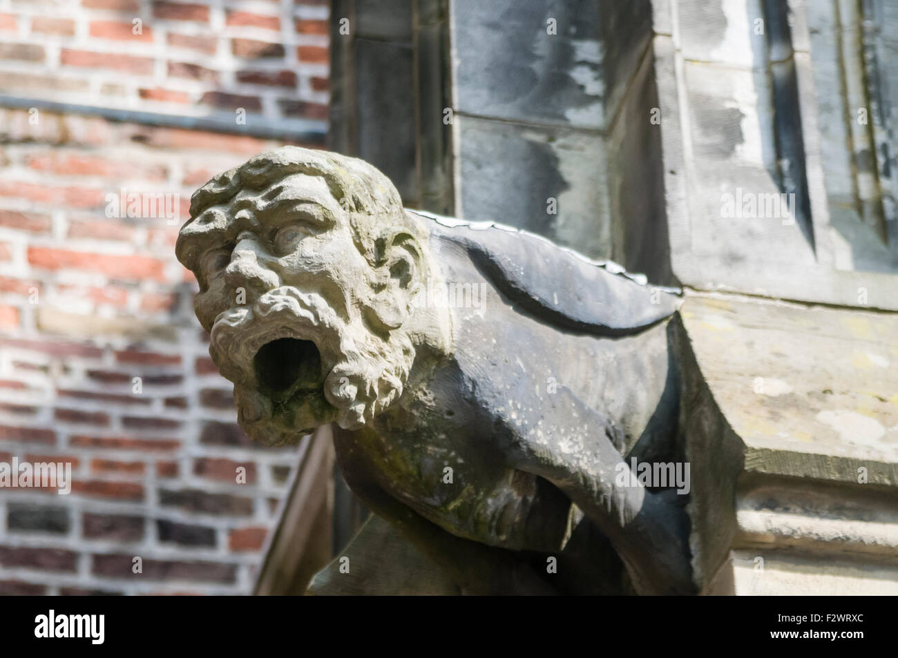 Gargouille sur le toit de Domkerk, de la cathédrale Saint-Martin, Utrecht, Pays-Bas Banque D'Images