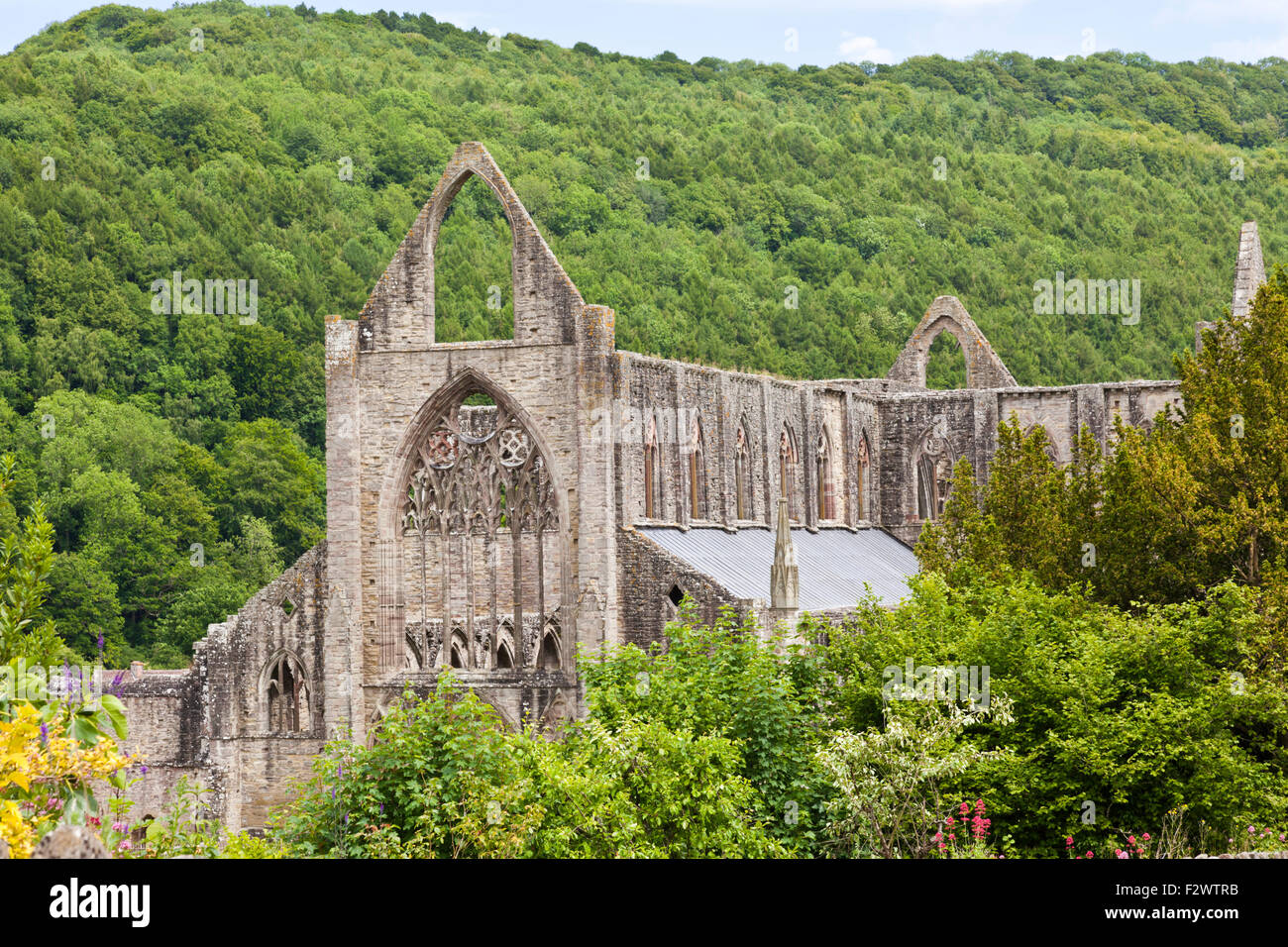 Abbaye de Tintern dans la vallée de la Wye, Monmouthshire, Wales UK Banque D'Images