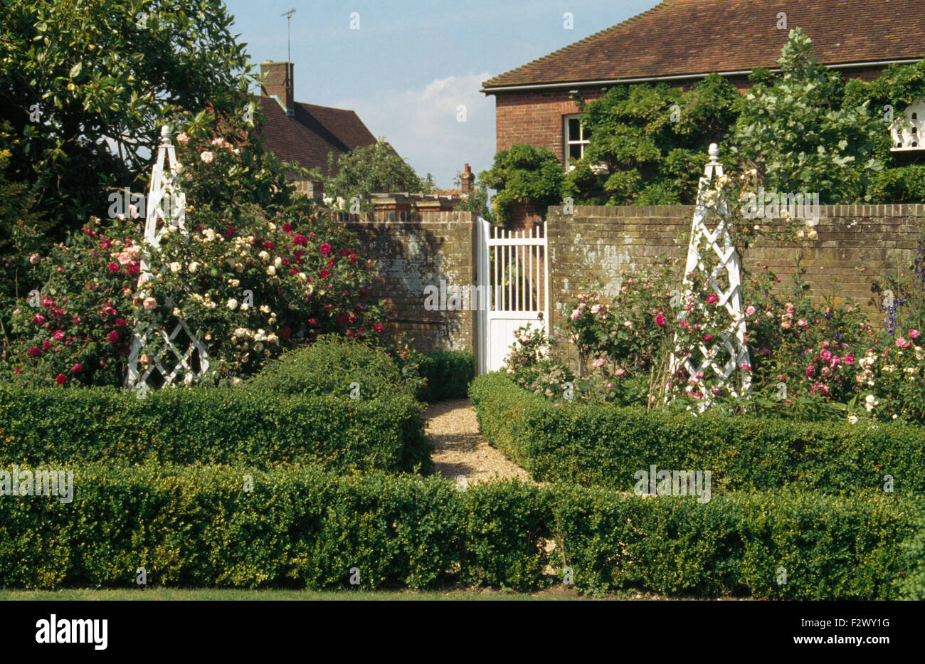 D'obélisques en bois blanc avec roses dans un jardin de campagne fortifiée avec une faible couverture de boîte Banque D'Images