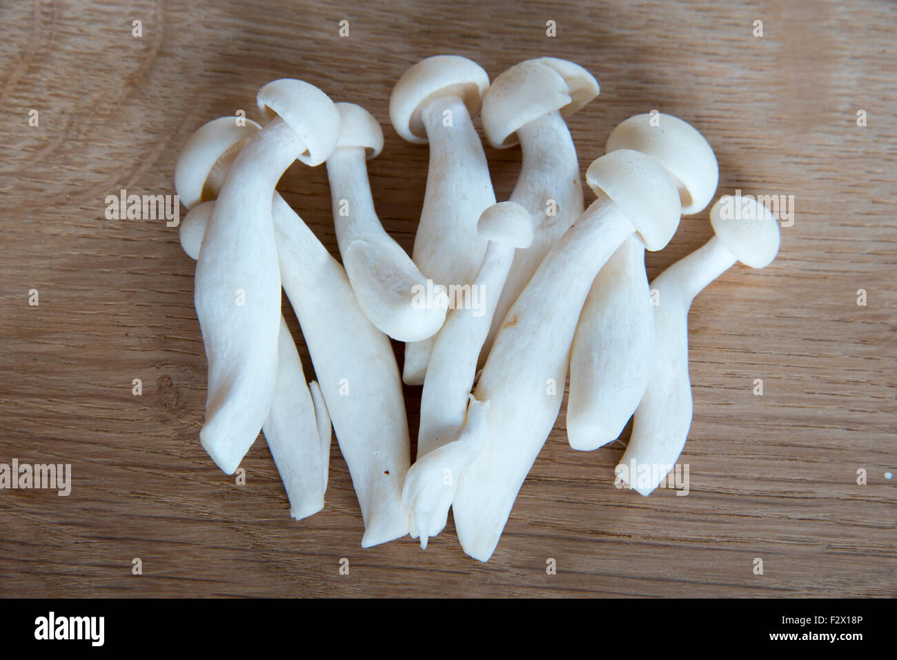 Hêtre Blanc champignons asiatiques Banque D'Images