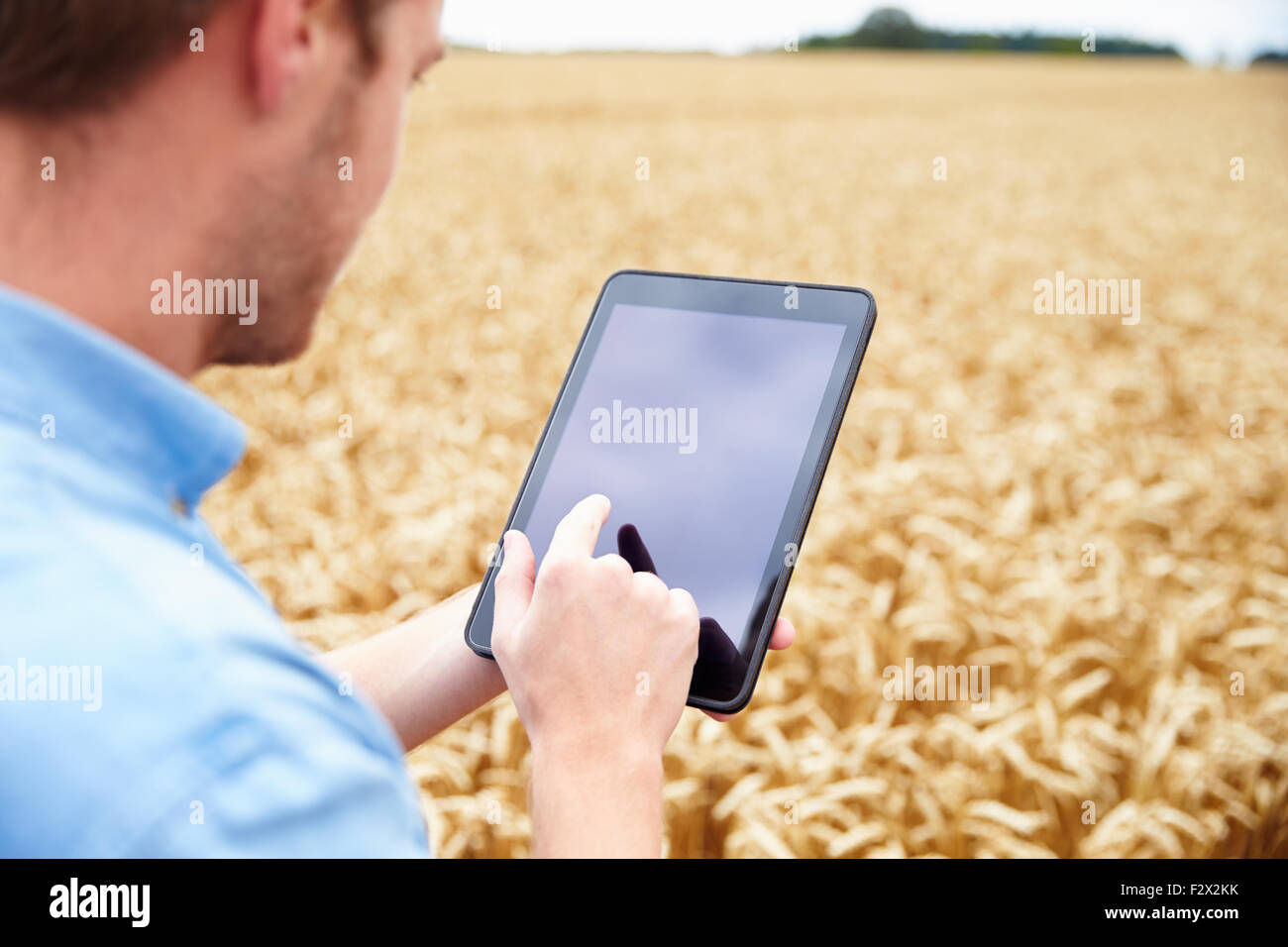 Farmer Using Digital Tablet In Champ de blé Banque D'Images