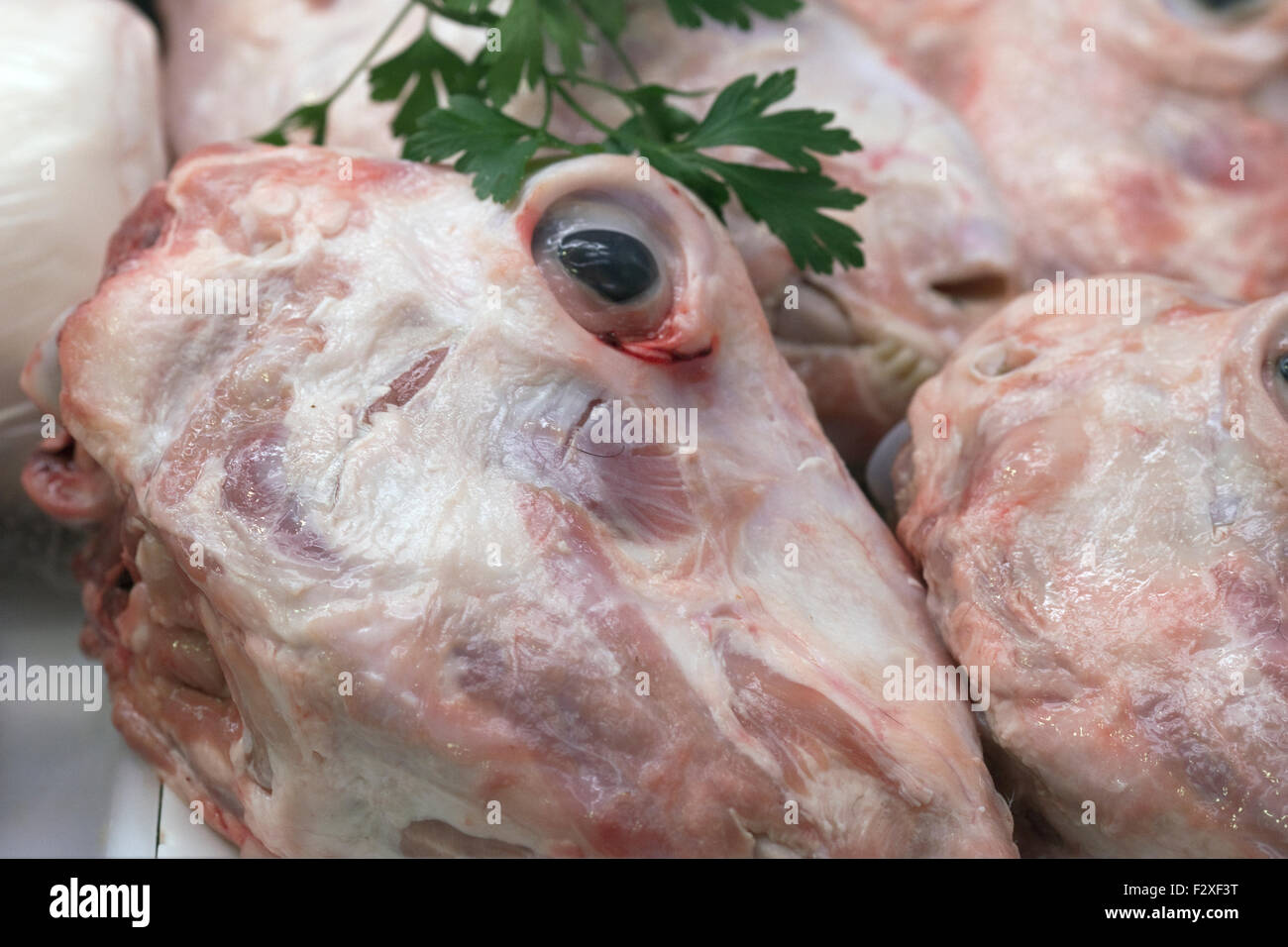 Lors d'une tête de chèvre cru meat market à Barcelone Banque D'Images