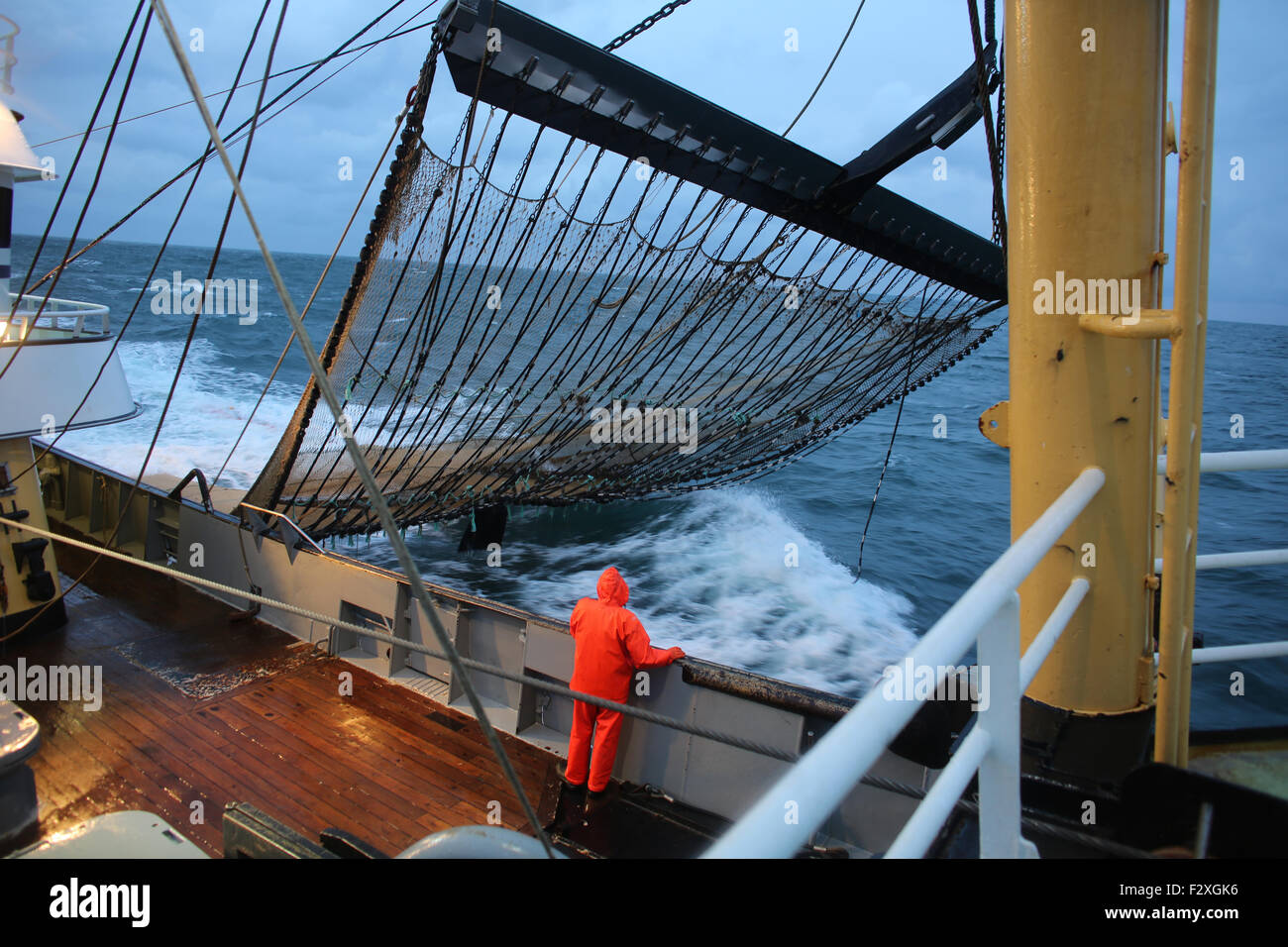 Bateau de pêche hollandais de pêche sur la mer du Nord de la sole et de la plie Banque D'Images