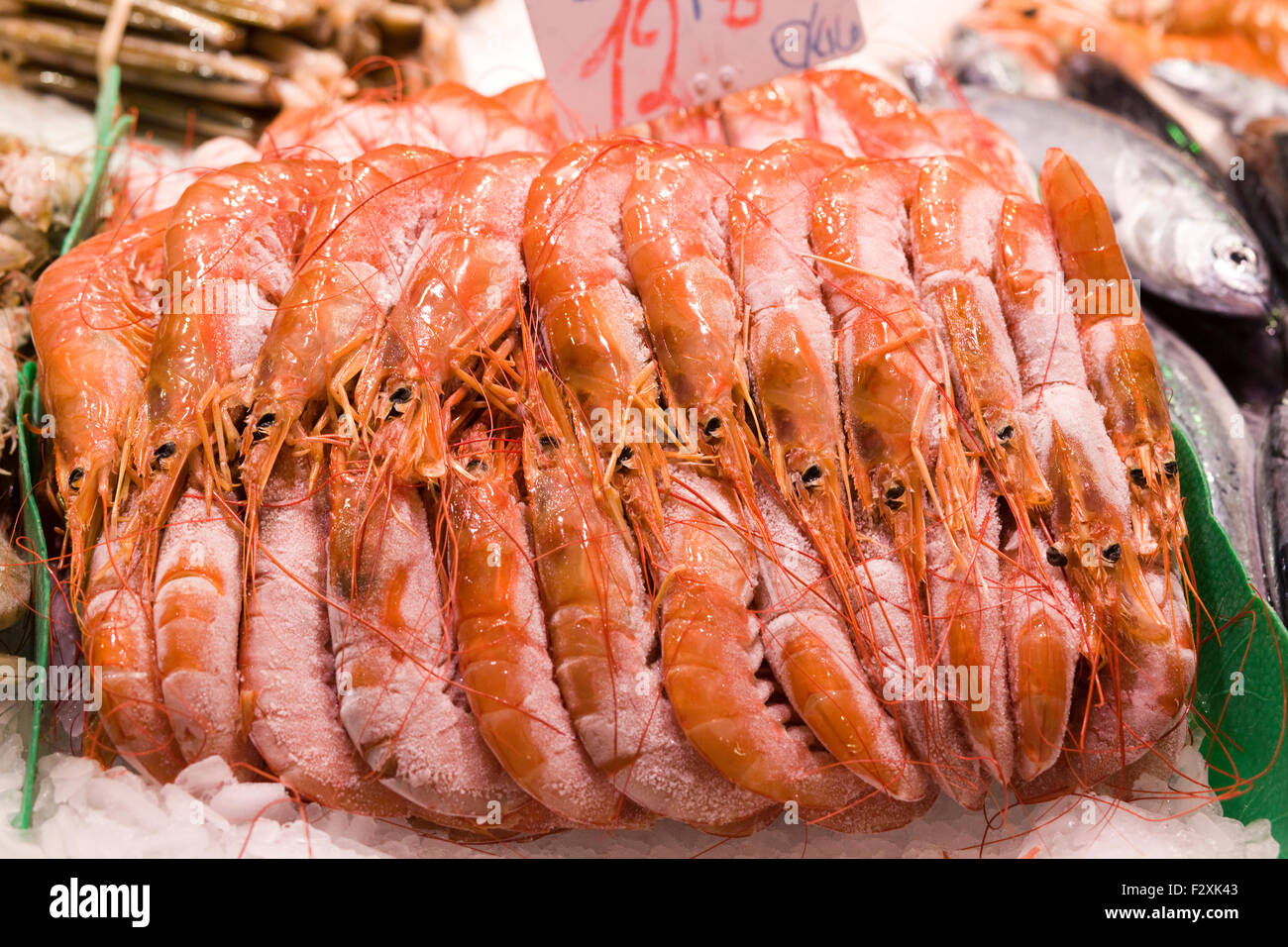 Dendrobranchiata Langoustines sur la glace sur une échoppe de marché Banque D'Images