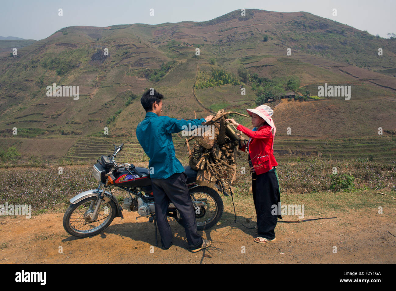 La collecte du bois de feu au Vietnam Banque D'Images