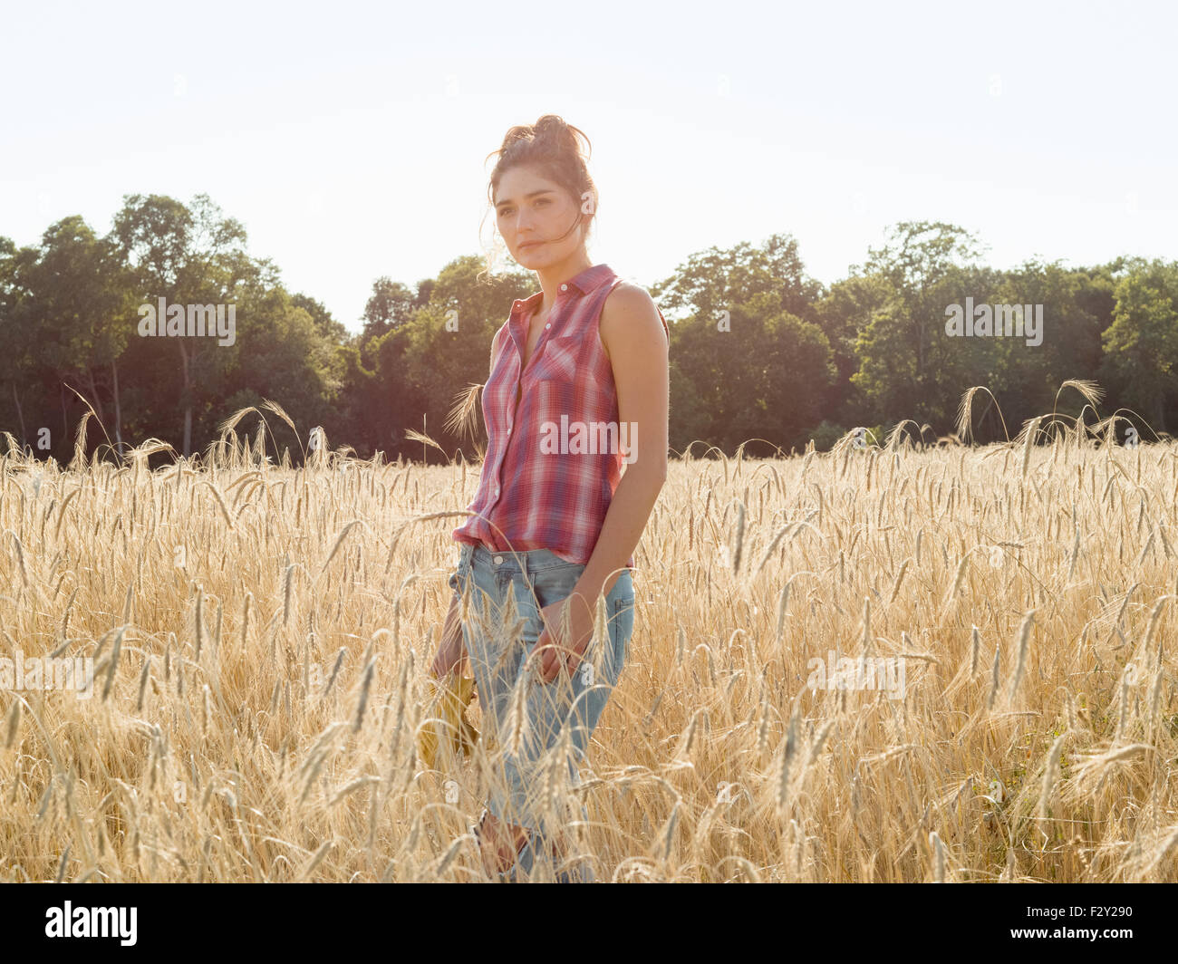 Jeune femme portant une chemise à carreaux debout dans un champ de maïs. Banque D'Images