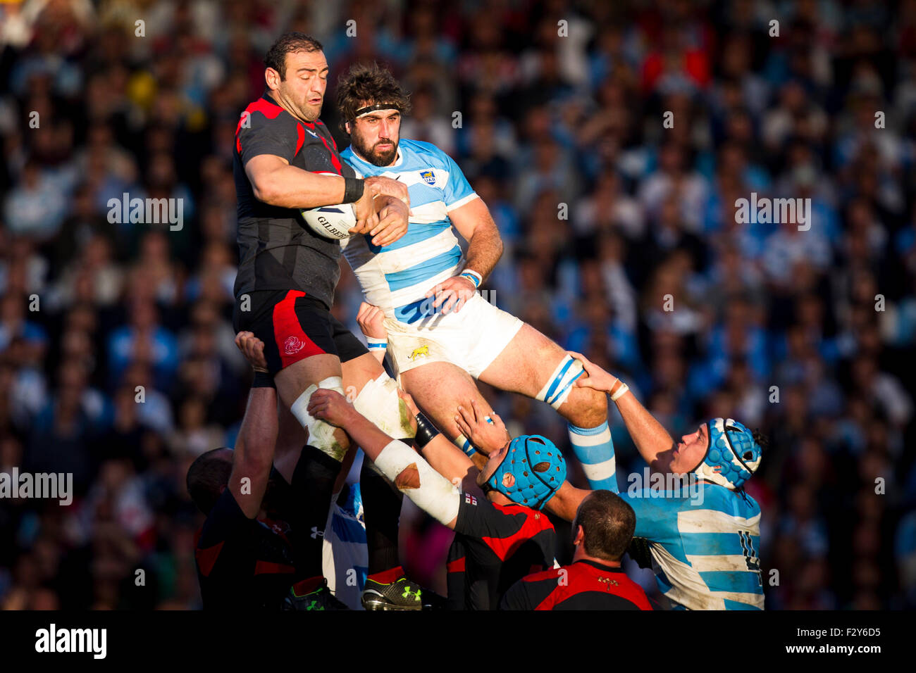 Kingsholm, Gloucester, Royaume-Uni. 25 Septembre, 2015. Coupe du Monde de Rugby. L'Argentine contre la Géorgie. Mamuka Gorgodze de Géorgie prend une line out. Credit : Action Plus Sport/Alamy Live News Banque D'Images