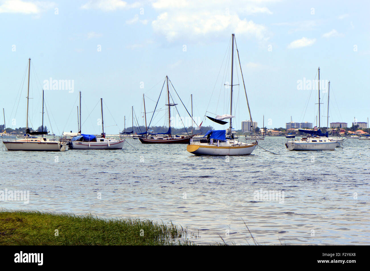 Yachts dans la baie de Sarasota Banque D'Images
