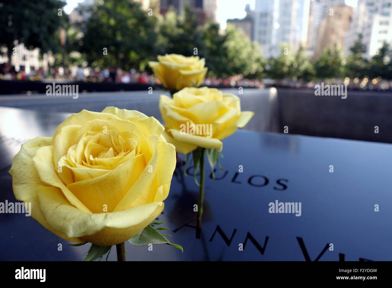 Roses jaunes honorant les victimes à 9/11 Memorial Fountain Banque D'Images