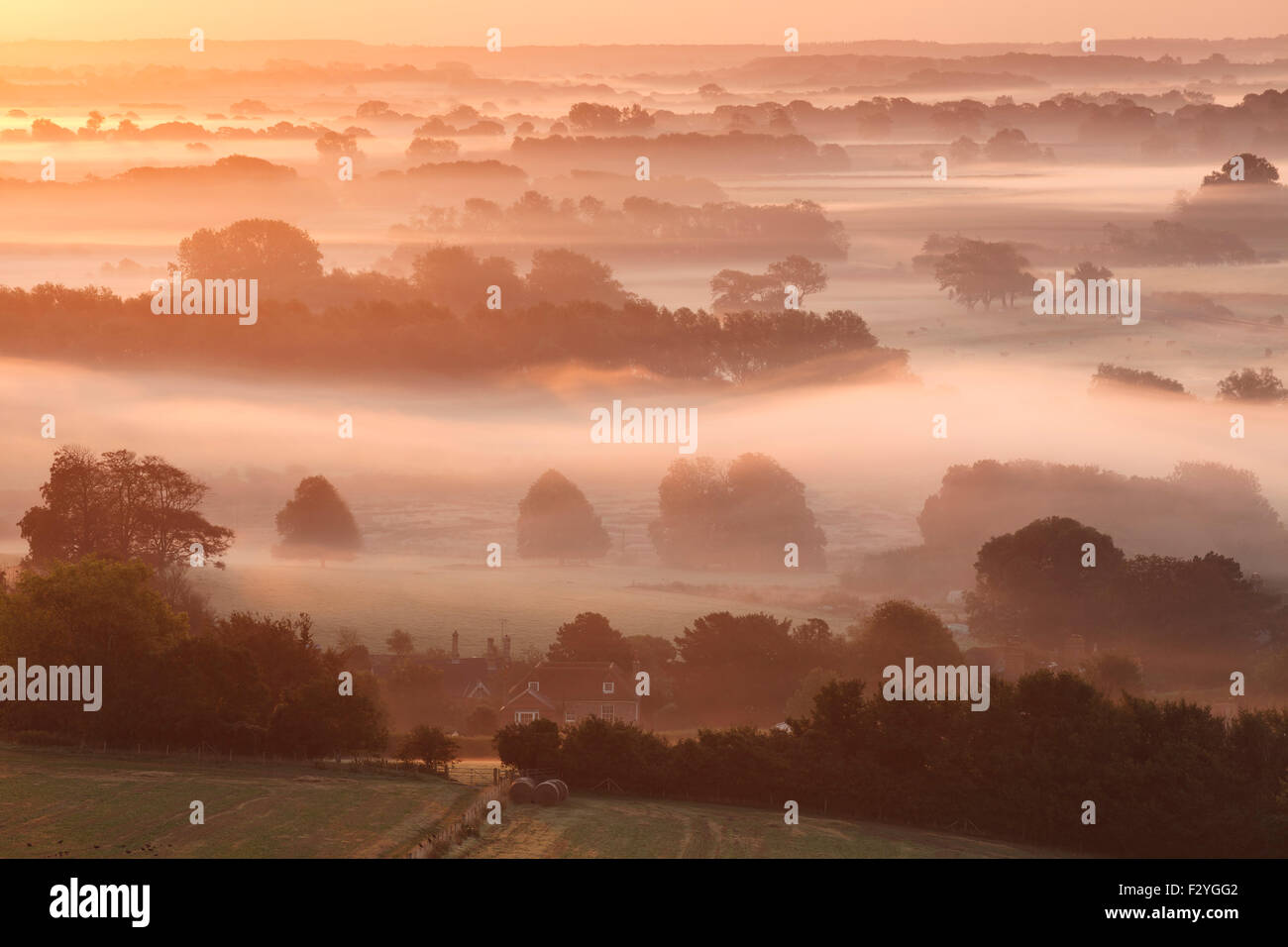 Une belle misty sur la campagne du Sussex près de Glynde, Lewes, East Sussex, UK Banque D'Images