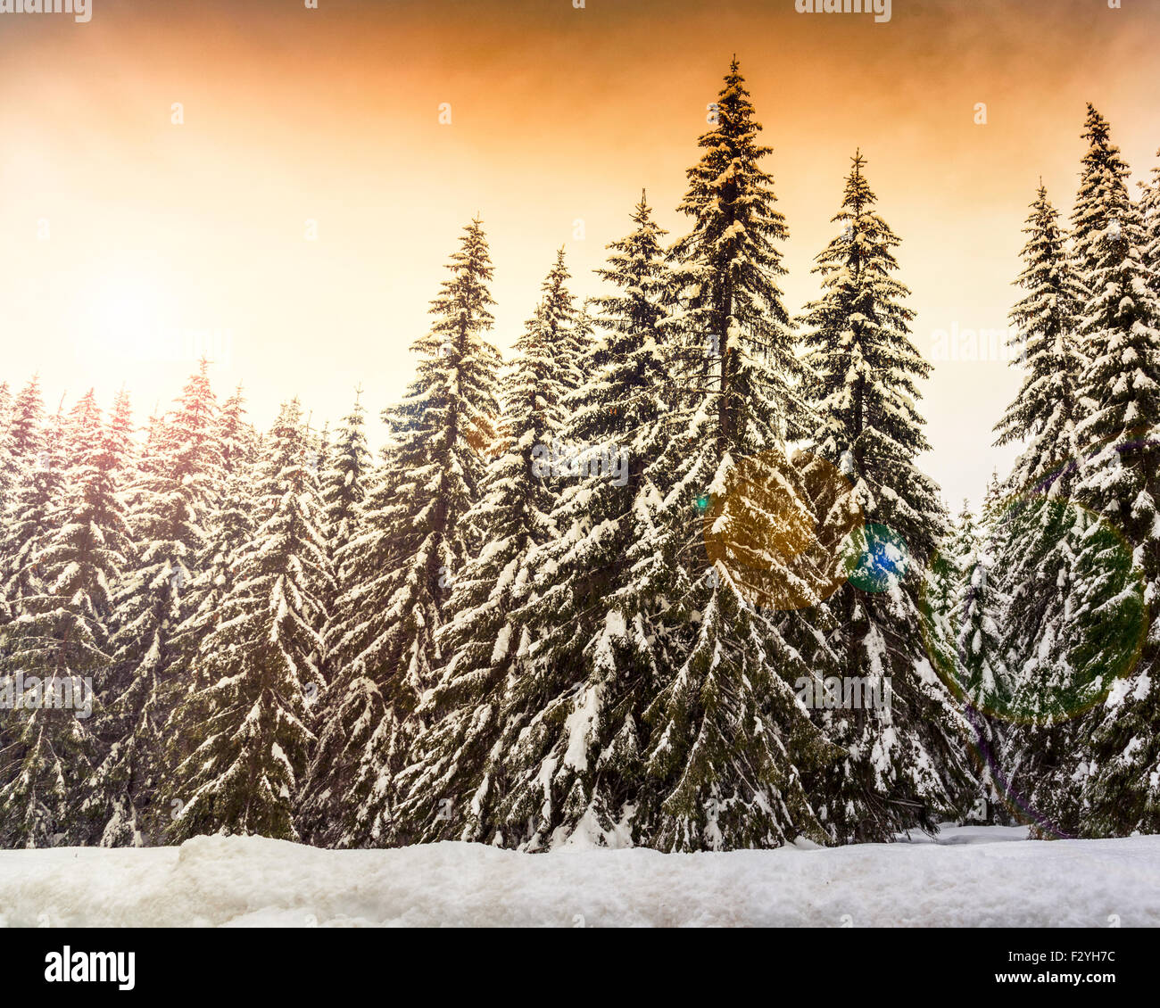 Paysage d'hiver à proximité du centre de ski de Vogel montagne Alpes Juliennes, en Slovénie Banque D'Images