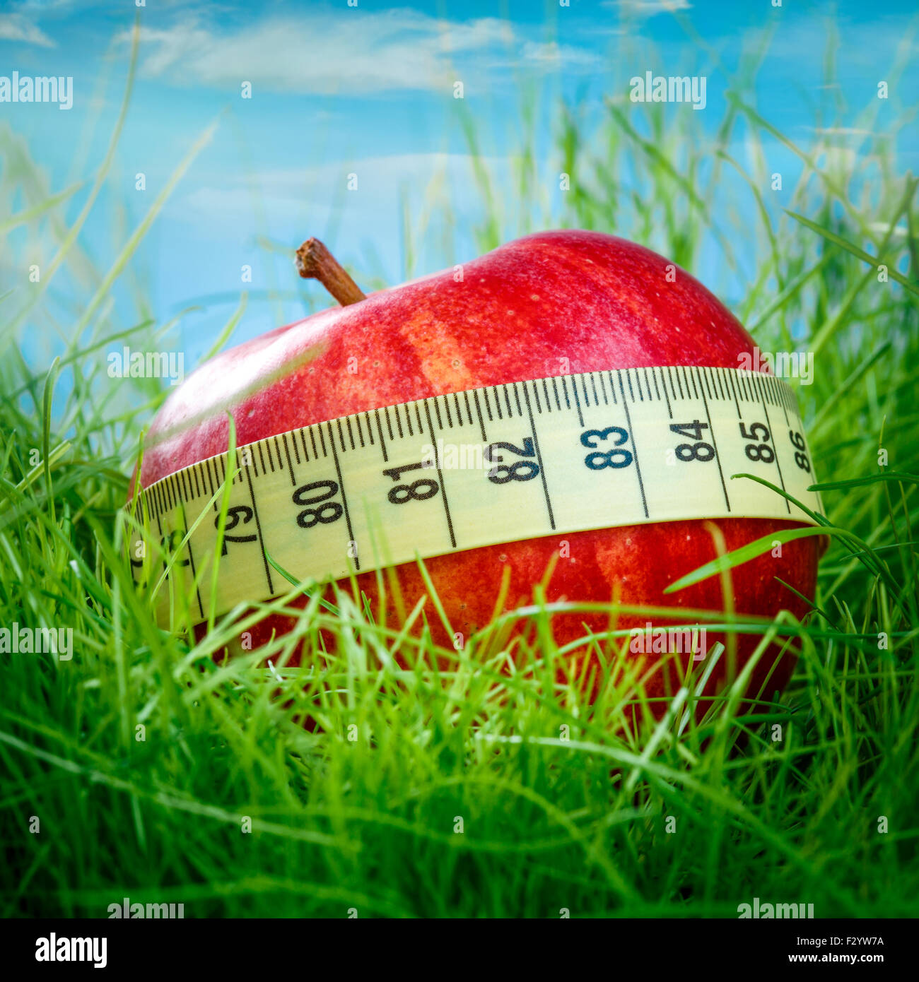 Pomme rouge sur l'herbe verte Banque D'Images