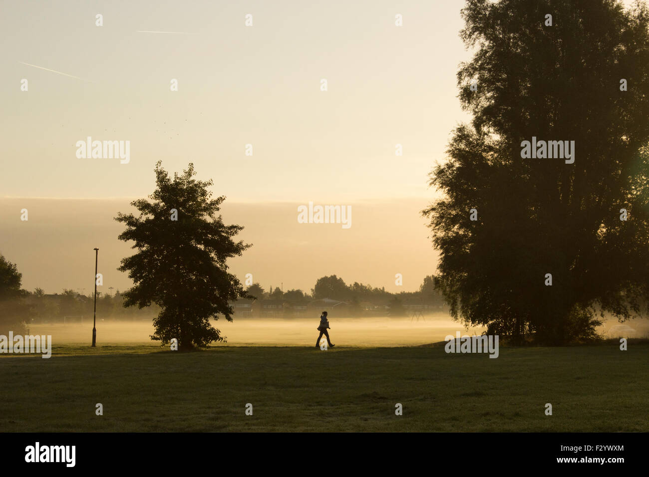 Lever tôt le matin sur un terrain avec arbres. Le soleil jette une ombre à travers les arbres sur ce matin brumeux. Banque D'Images