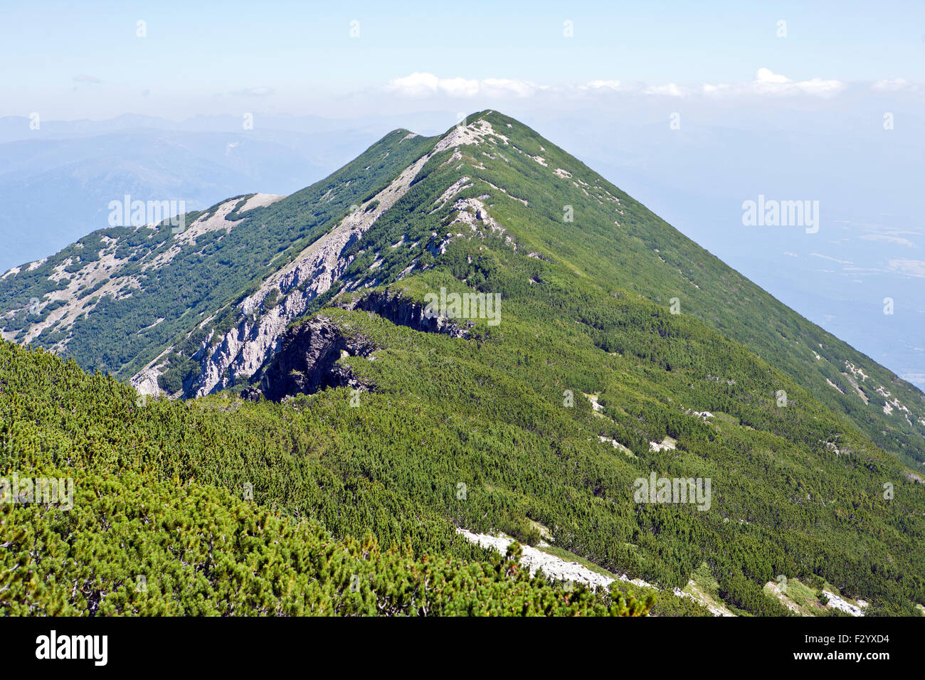 Dans les montagnes du Parc national de Pirin Bulgarie Banque D'Images