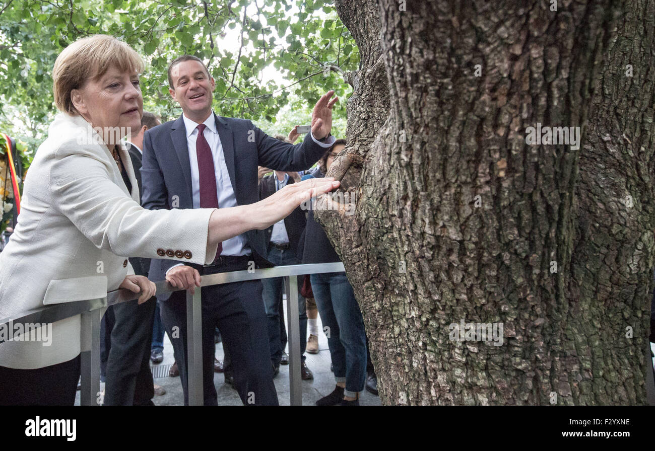 New York, USA. 26 Sep, 2015. La chancelière allemande, Angela Merkel, se penche sur l'arbre survivant au niveau zéro Memorial, avec Joe Daniels, directeur général de la memorial, debout à côté d'elle, à New York, USA, 26 septembre 2015. Merkel a visité le Mémorial et le musée avec Michael Bloomberg (invisible), président du musée, et de déposer une couronne à l'arbre survivant. Merkel est sur une visite de trois jours à New York, USA, pour assister à l'Organisation des Nations Unies (ONU) sur le développement durable. Photo : MICHAEL KAPPELER/dpa/Alamy Live News Banque D'Images