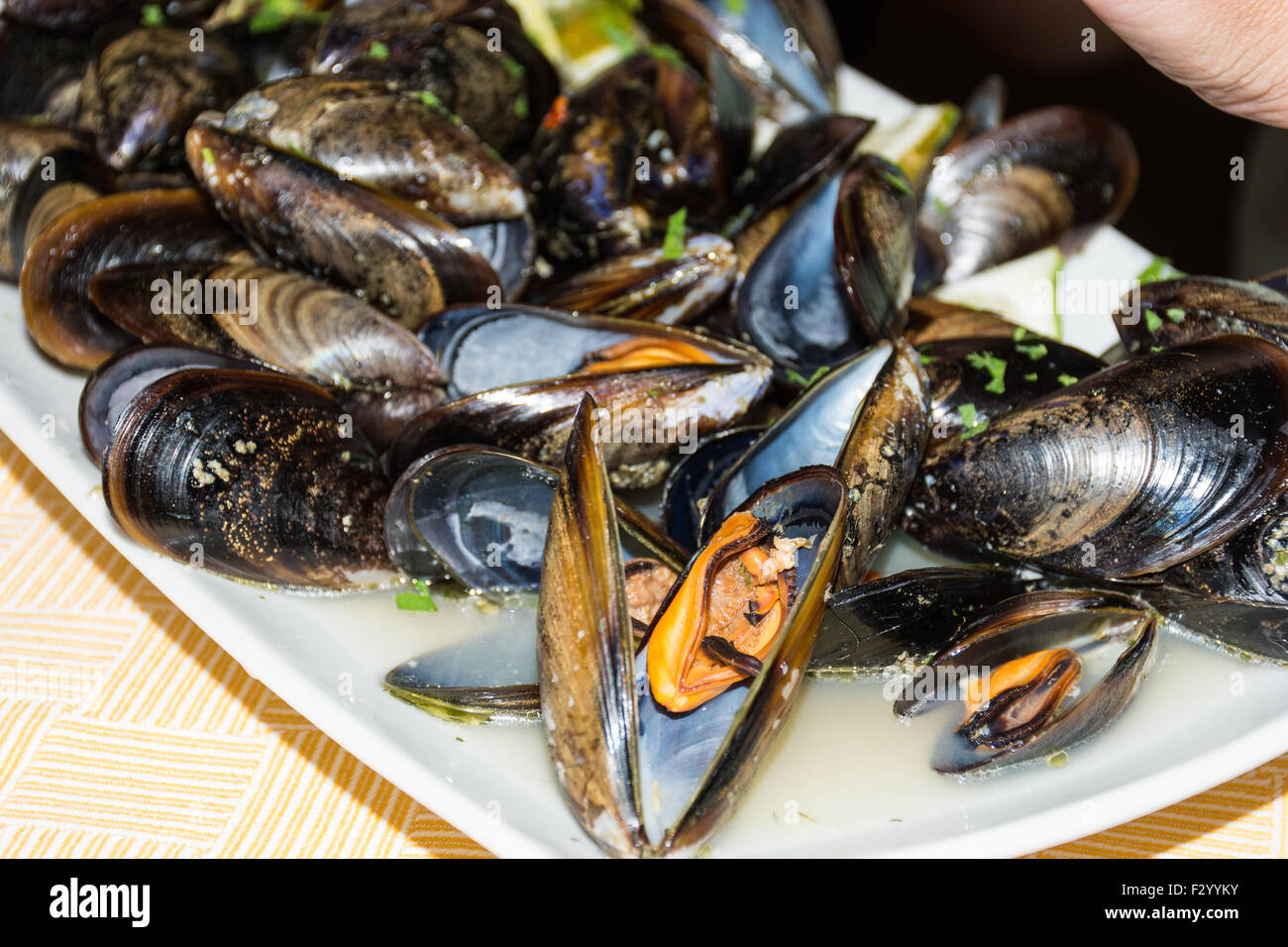 Un plat de moules des photos avec la sauce tomate, ouvert, prêt à manger, d'une table se propager. Banque D'Images