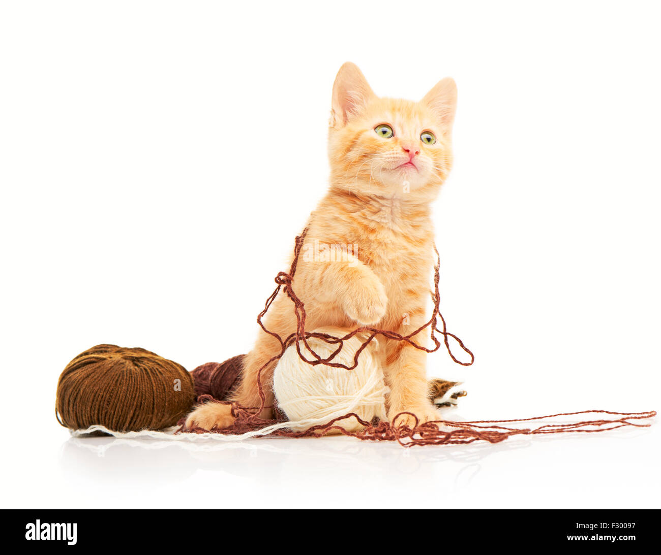 Mignon petit chaton rouge jouant avec des boules de fil et à la caméra à droite, isolé sur fond blanc Banque D'Images