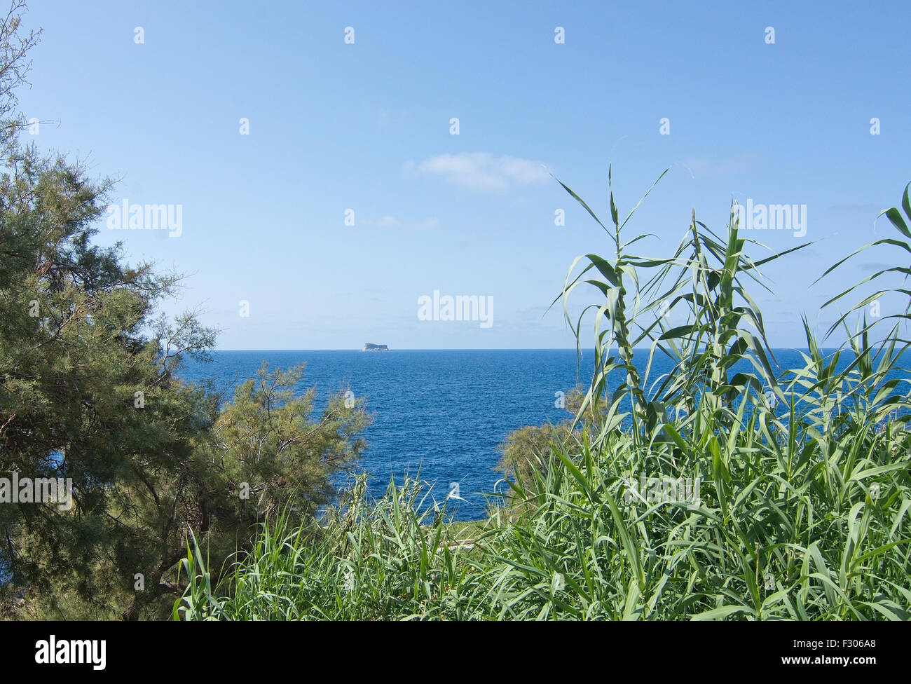 L'île aux oiseaux Filfla sud de Malte en Méditerranée entouré de roseaux sur une journée ensoleillée en septembre à Malte. Banque D'Images