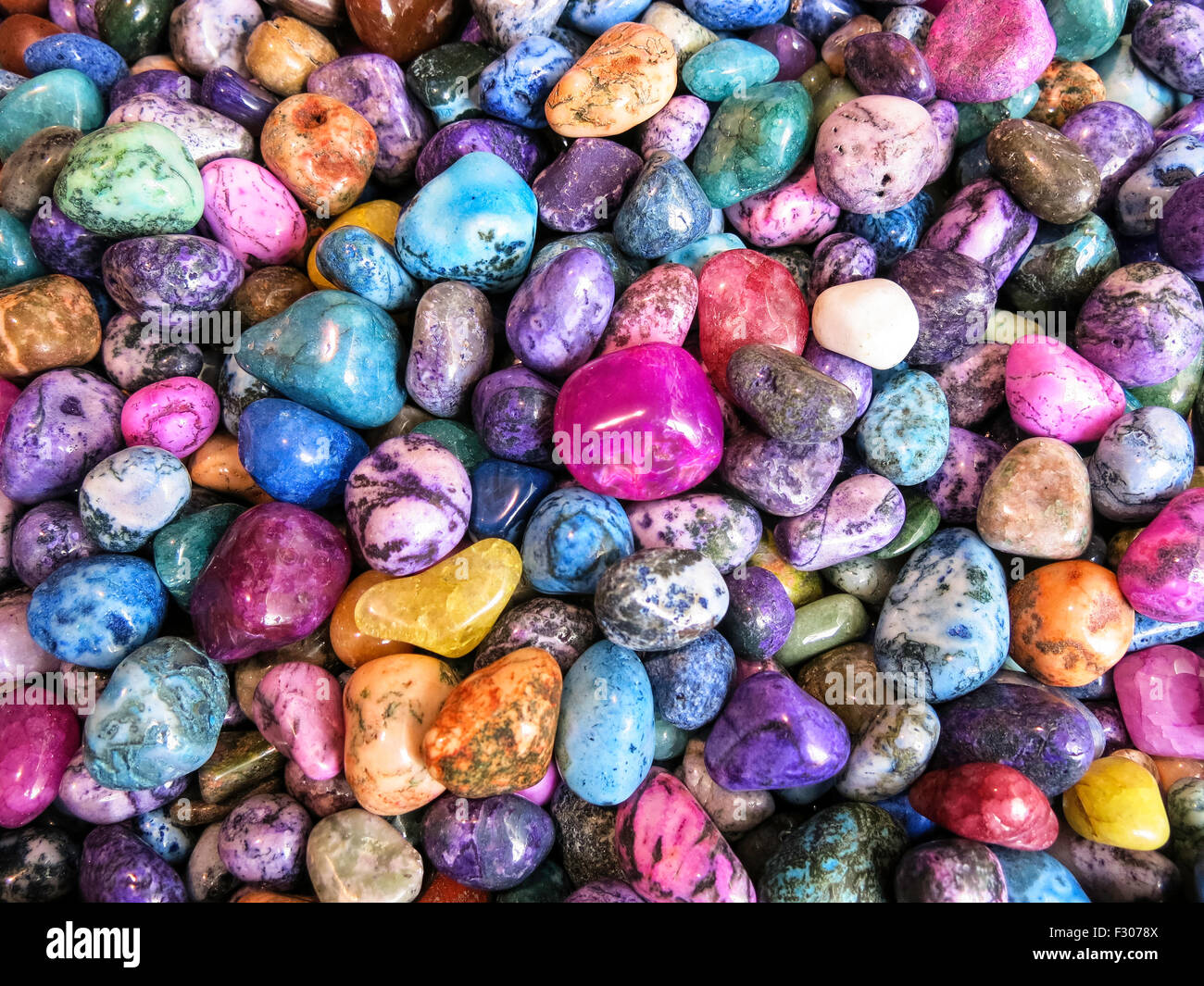 American Museum of Natural History, NEW YORK Banque D'Images