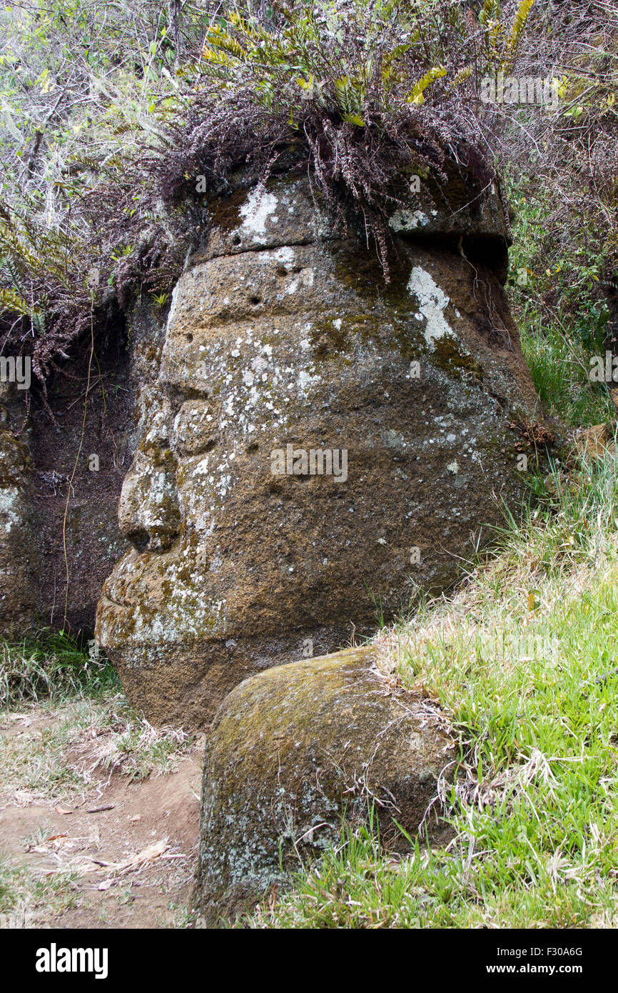 Dans les hautes terres de roche sculptée de l'Île Floreana, Galapagos Islands Banque D'Images