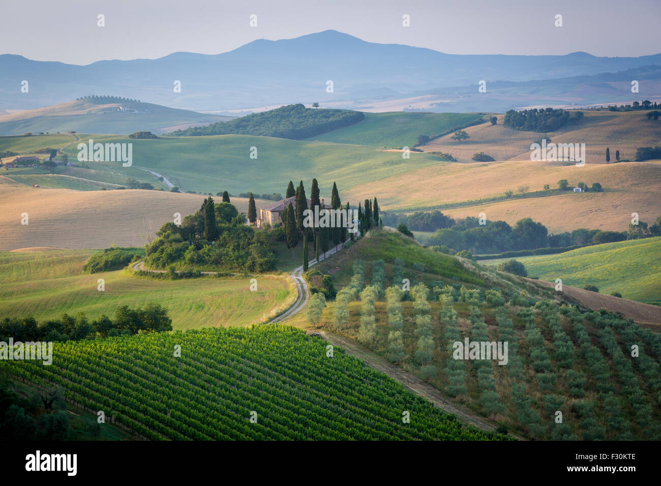 La toscane, tôt le matin dans le Val d'Orcia Banque D'Images