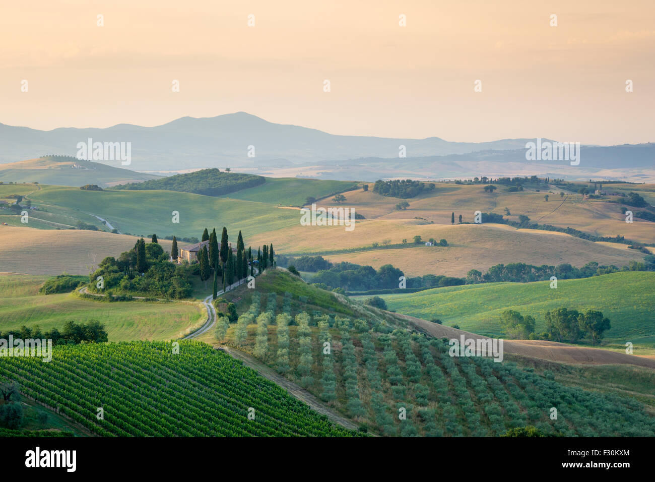 La toscane, tôt le matin dans le Val d'Orcia Banque D'Images