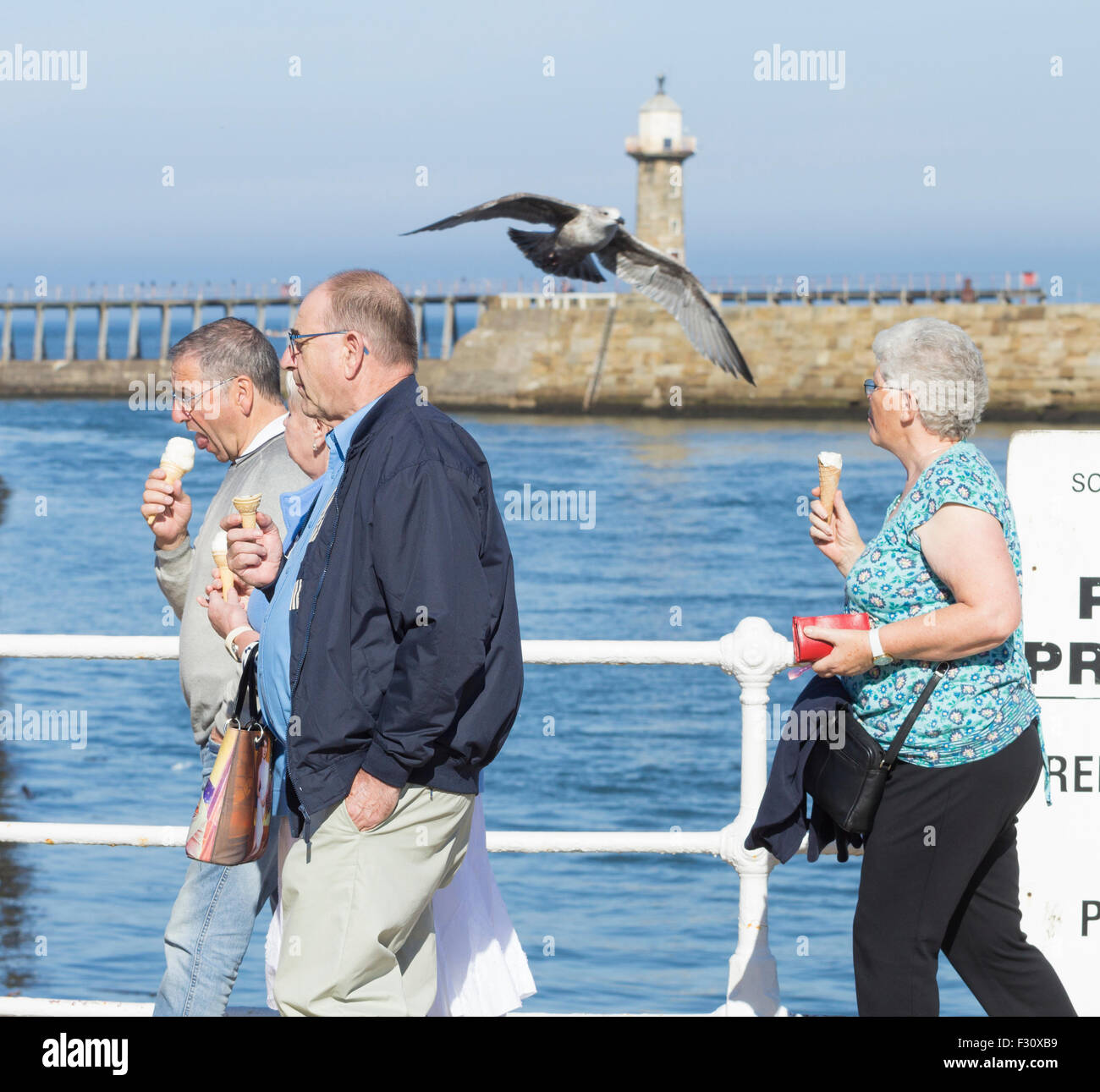 Dimanche 27 septembre 2015, Whitby, North Yorkshire, Angleterre, Royaume-Uni. Météo : Seagull honing dans de la glace sur une glorieuse dimanche à Whitby, North Yorkshire. Il n'est pas rare que des mouettes à tourbillonner et s'envoler avec de la glace. Banque D'Images