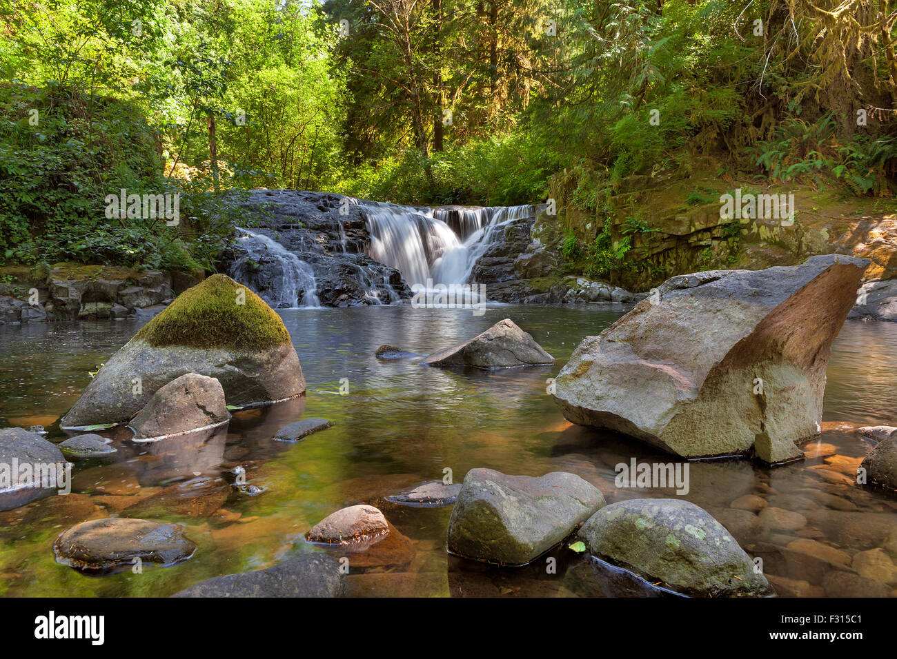 Le sentier de randonnée Sweet Creek complexe dans l'Oregon Mapleton Banque D'Images