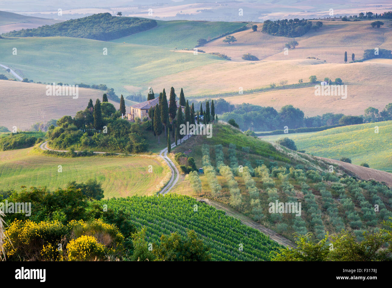 Val d'Orcia, Toscane, Italie, paysage. Banque D'Images
