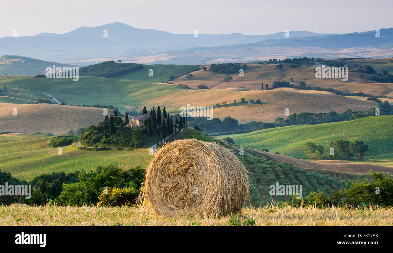 Val d'Orcia, Toscane, Italie, paysage. Banque D'Images