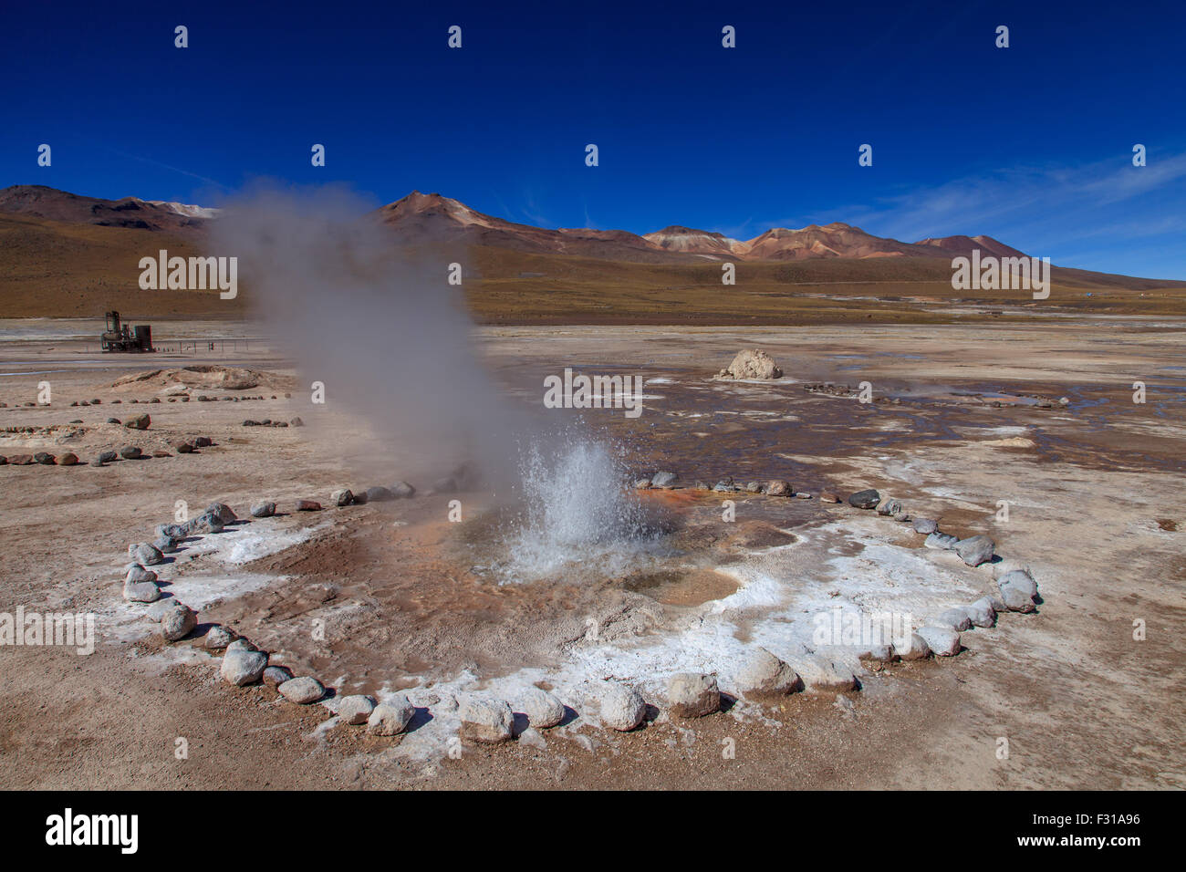 Geyser El Tatio (Atacama, Chili) Banque D'Images