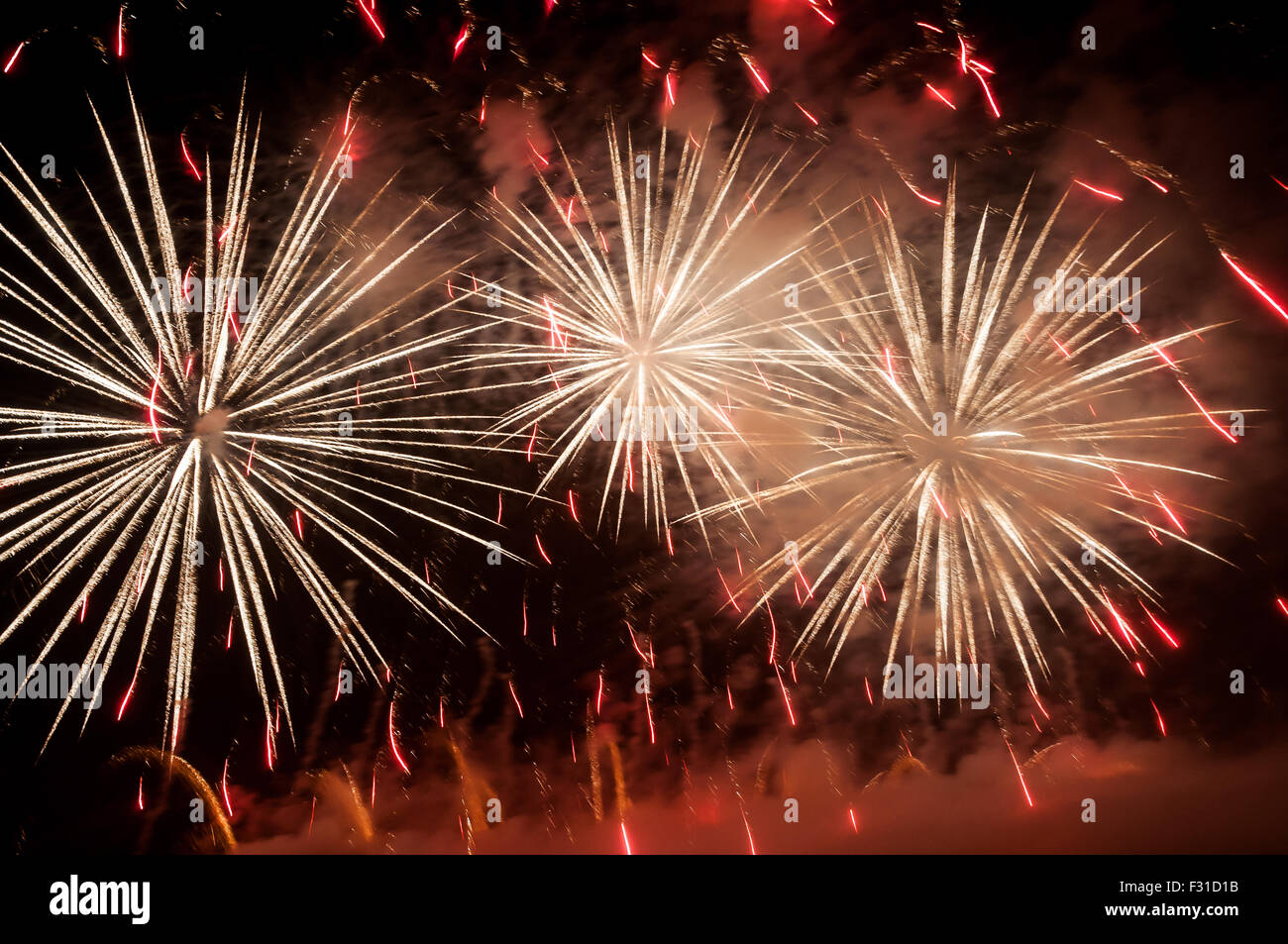 Beau feu d'artifice de couleurs sur le ciel de nuit Banque D'Images