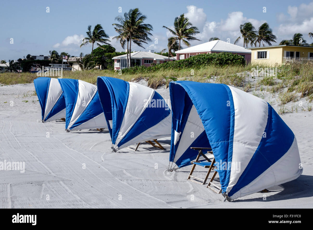 Delray Beach Florida, public, océan Atlantique, palmiers, location de cabanas, sable, FL150415003 Banque D'Images