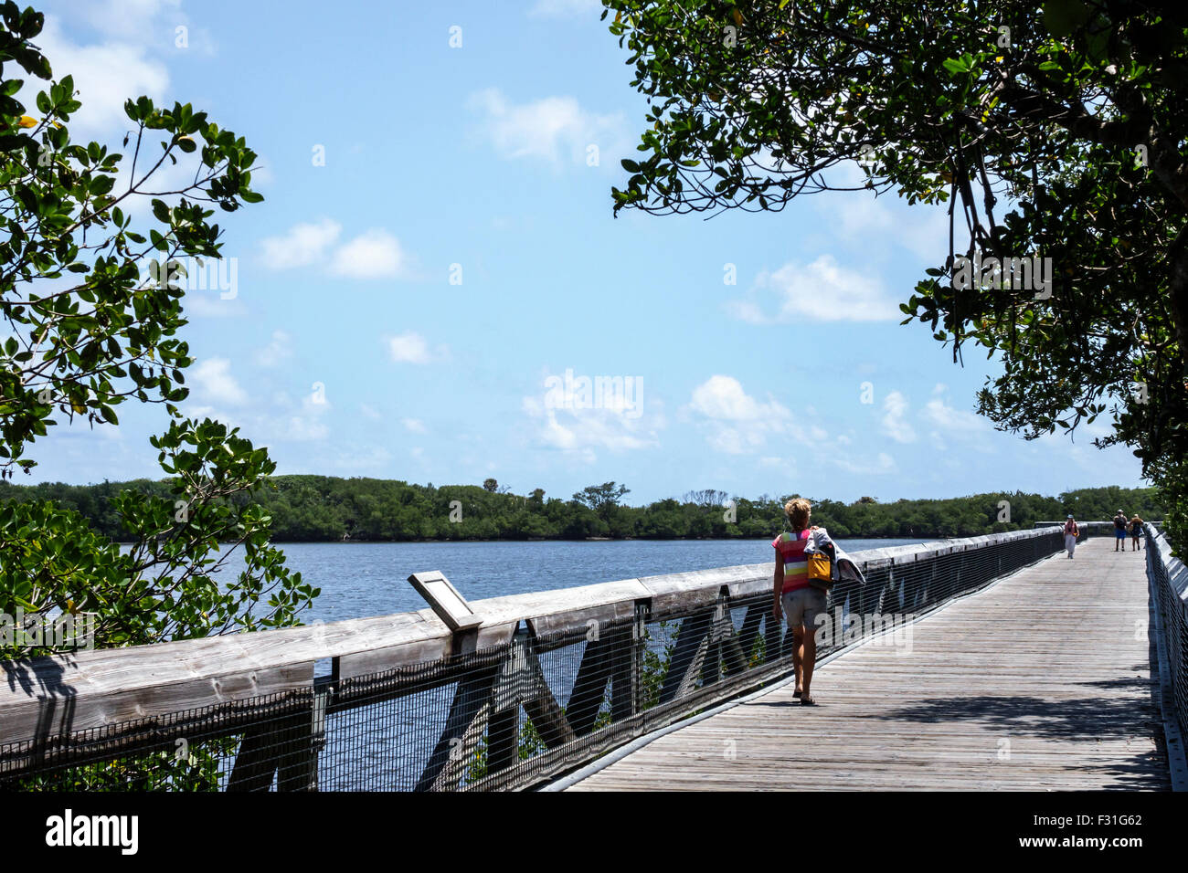 Florida North Palm Beach, John D. MacArthur Beach State Park, Lake Worth Lagoon, promenade en relief, adultes femme femme femme femme femme, marche, vis Banque D'Images