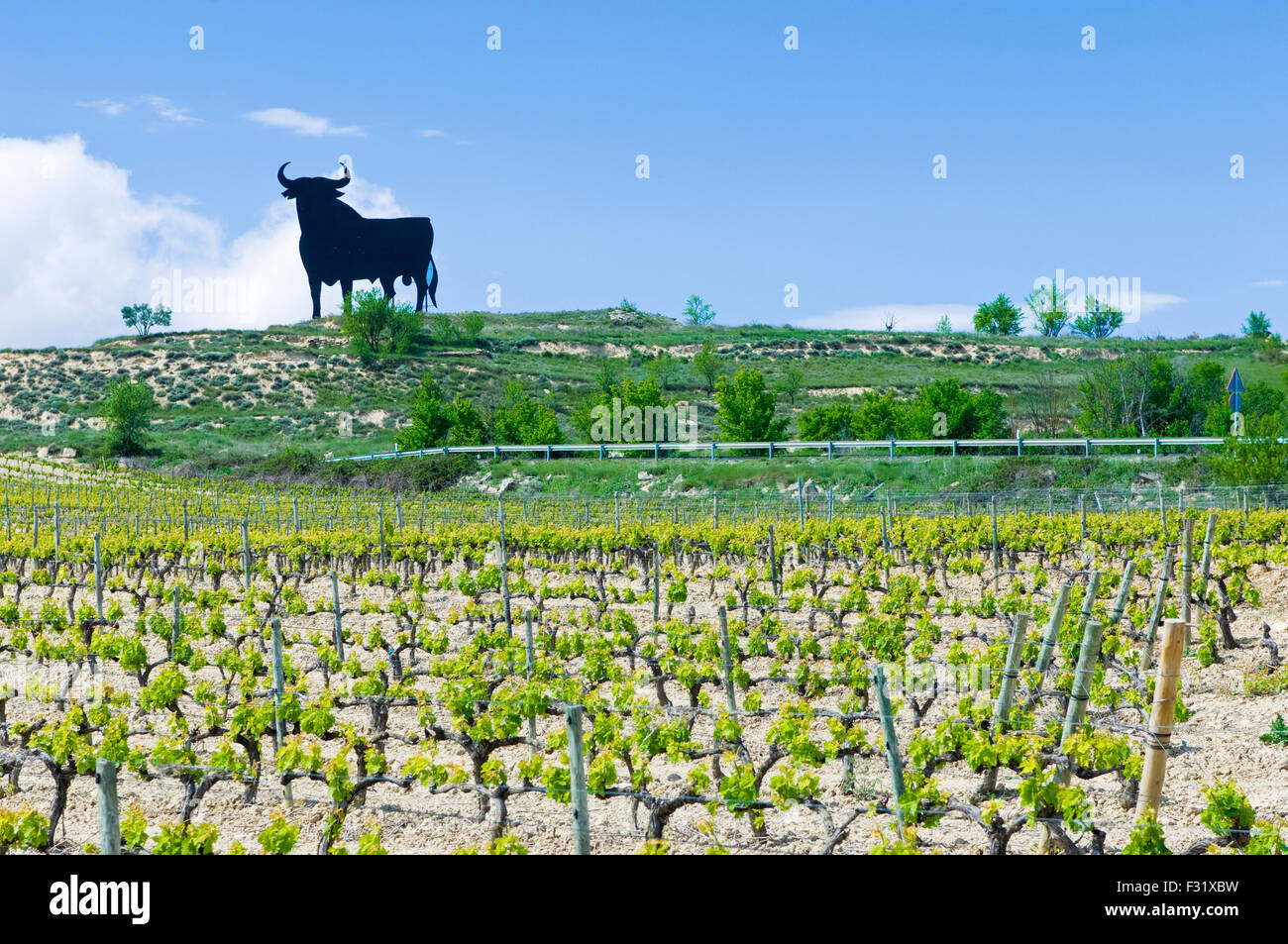 Vignes et vignobles dans la région de Rioja, Espagne avec la silhouette d'un taureau dans l'arrière-plan Banque D'Images