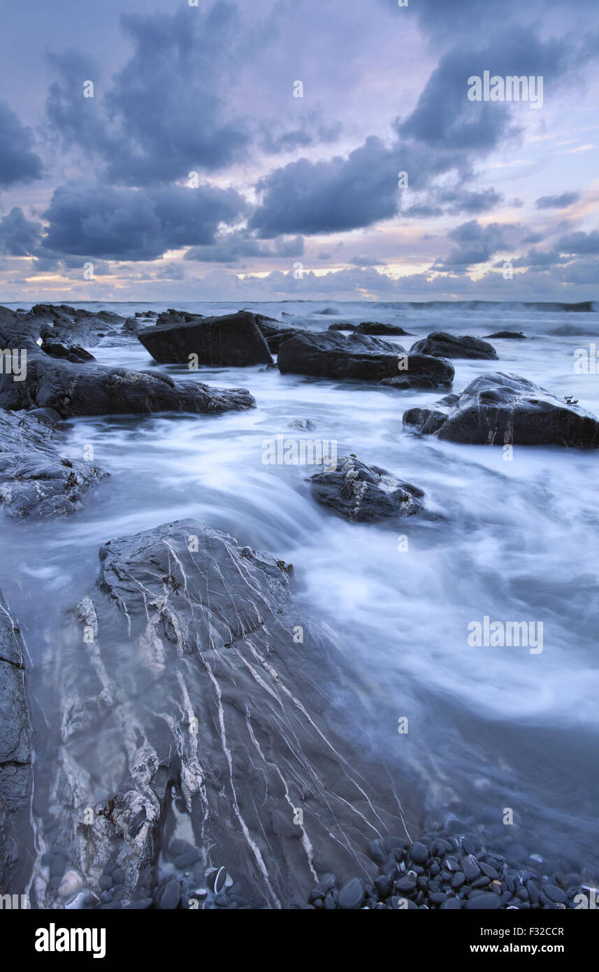 Le recul de la marée stony beach, révélant de grands rochers de grès avec bandes de quartz au coucher du soleil, Millook Haven, North Cornwall, Angleterre, Décembre Banque D'Images