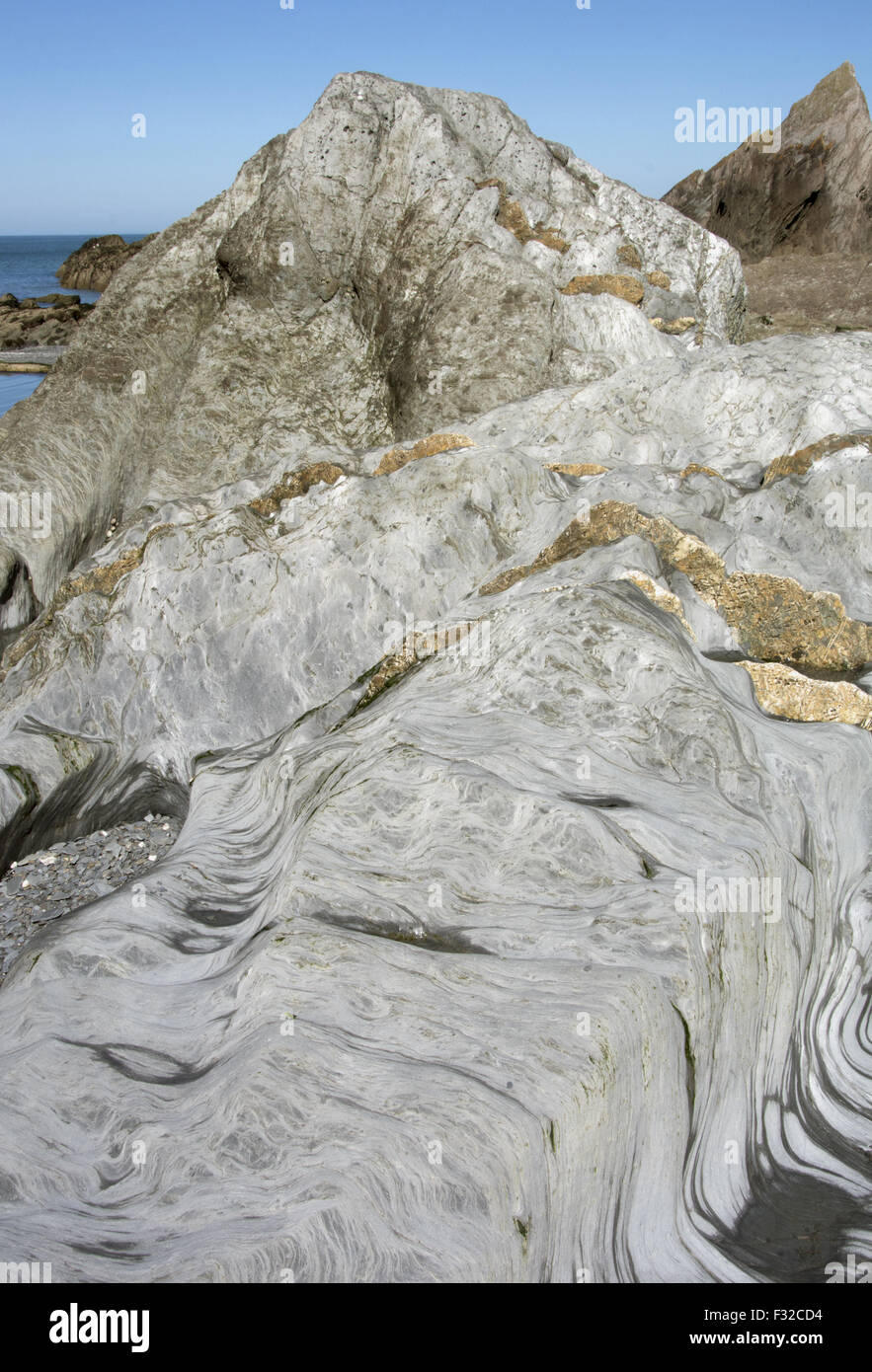 Plage rocheuse avec socle de pierre meulière, schiste et calcaire, Plage des Dames, Ilfracombe, Devon, Angleterre, juin Banque D'Images