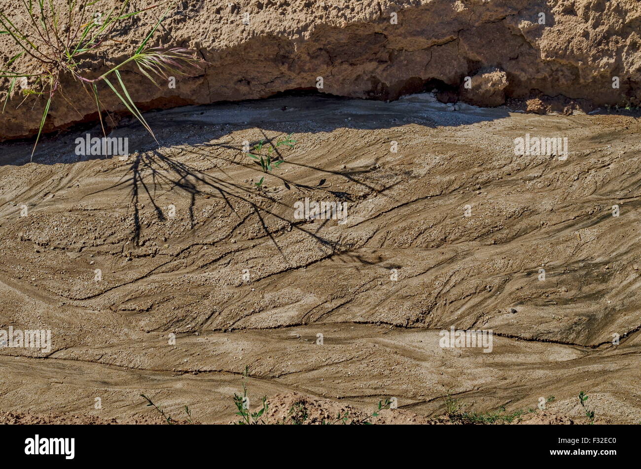 La terre sèche de dessin d'après la pluie inondations dans le domaine, Plana mountain, Bulgarie Banque D'Images