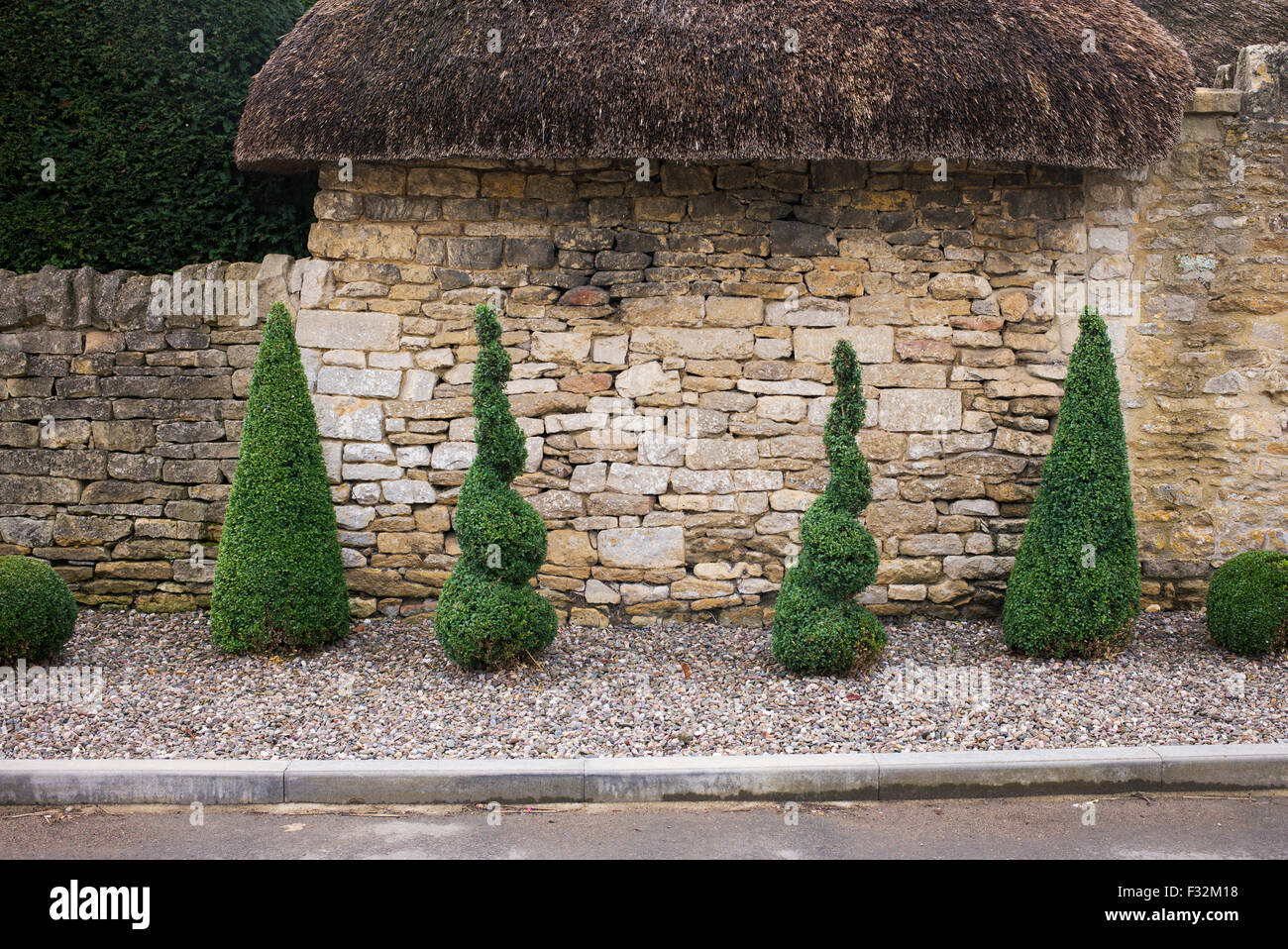 Les plantes à l'extérieur un topiaire de Cotswold cottage mur, vaste Campden Gloucestershire, Arles, France Banque D'Images