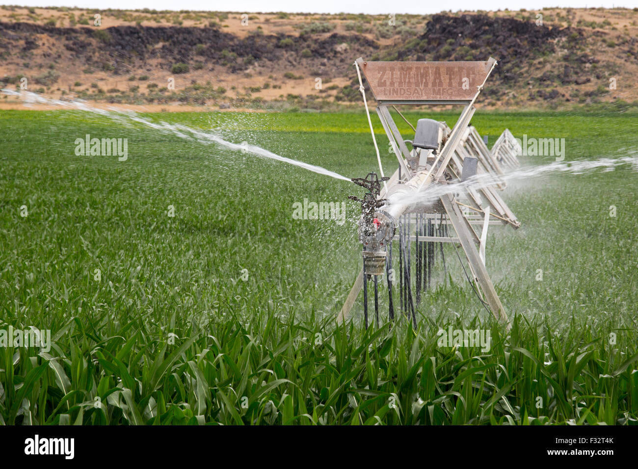 Raft River, New York - L'Irrigation d'une récolte de maïs. Banque D'Images