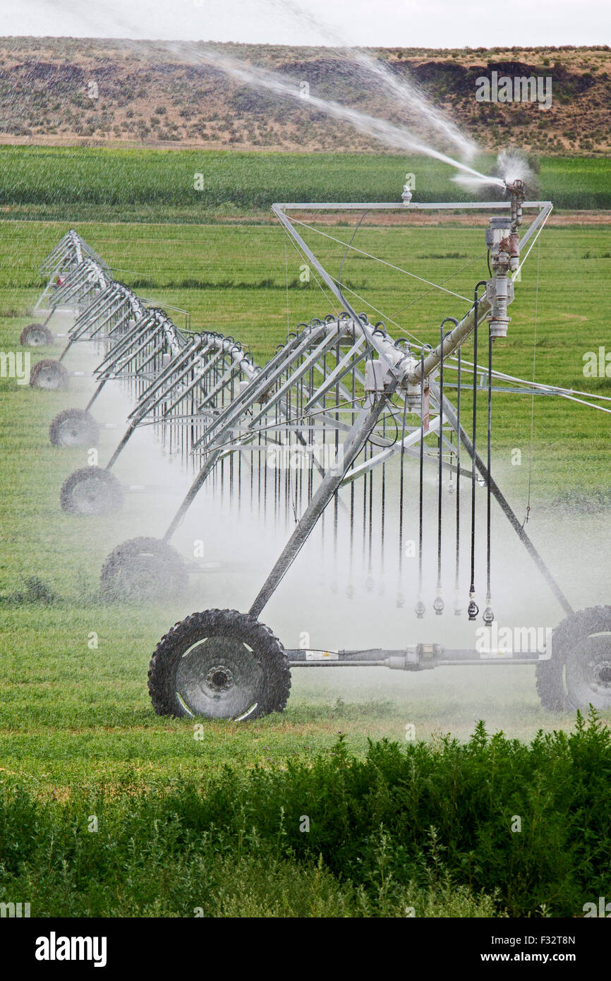 Raft River, New York - l'irrigation à pivot central à l'aide d'un système de gicleurs. Banque D'Images