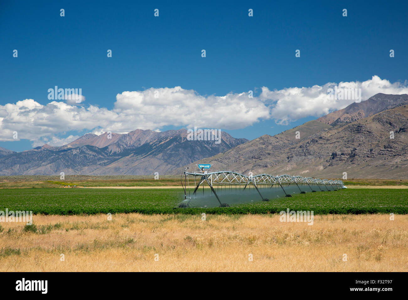 Arco, Idaho - Irrigation d'une culture de pommes de terre. Banque D'Images