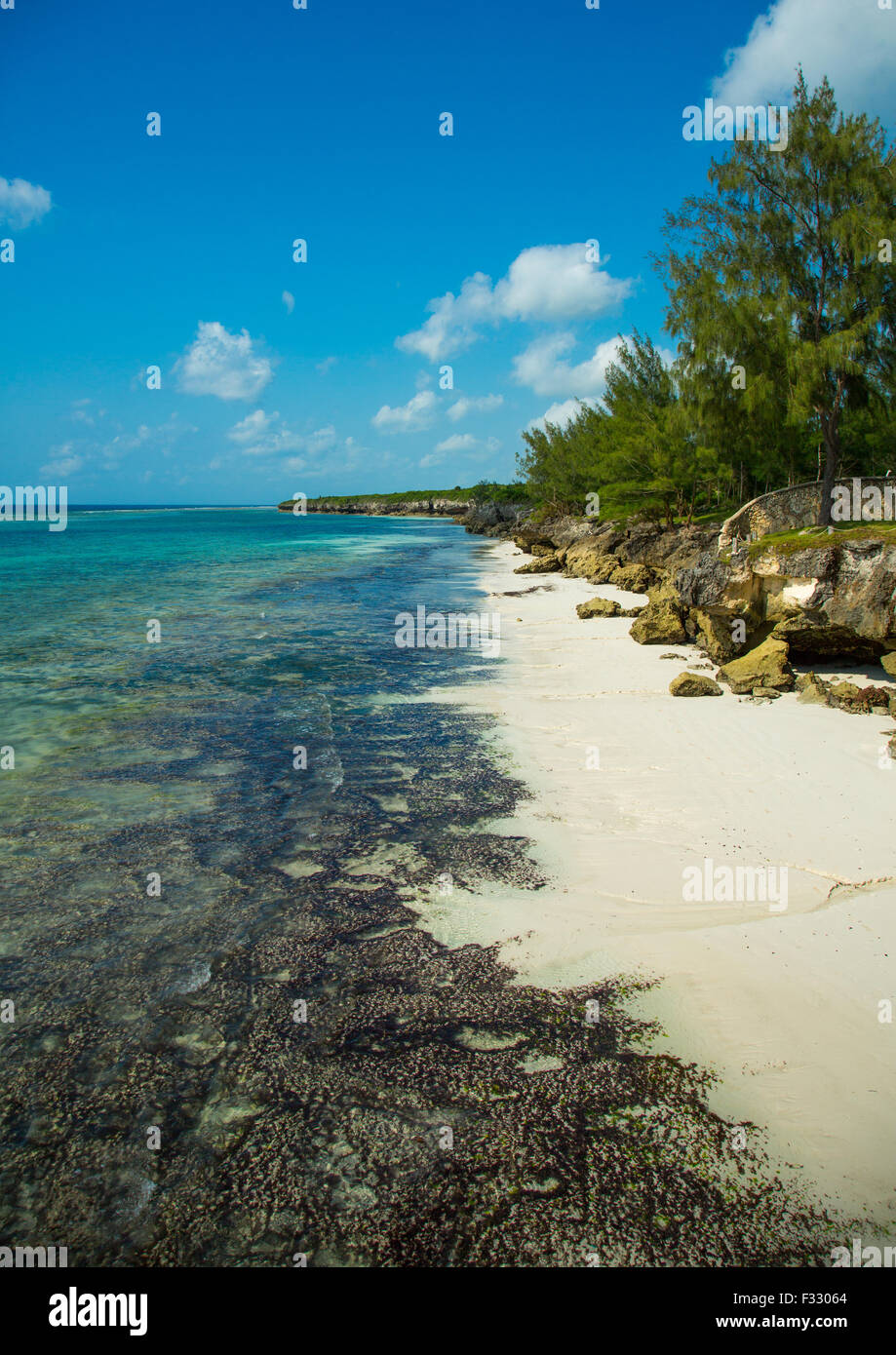 La Tanzanie Zanzibar Kiwengwa Beach Muyuni Banque Dimages
