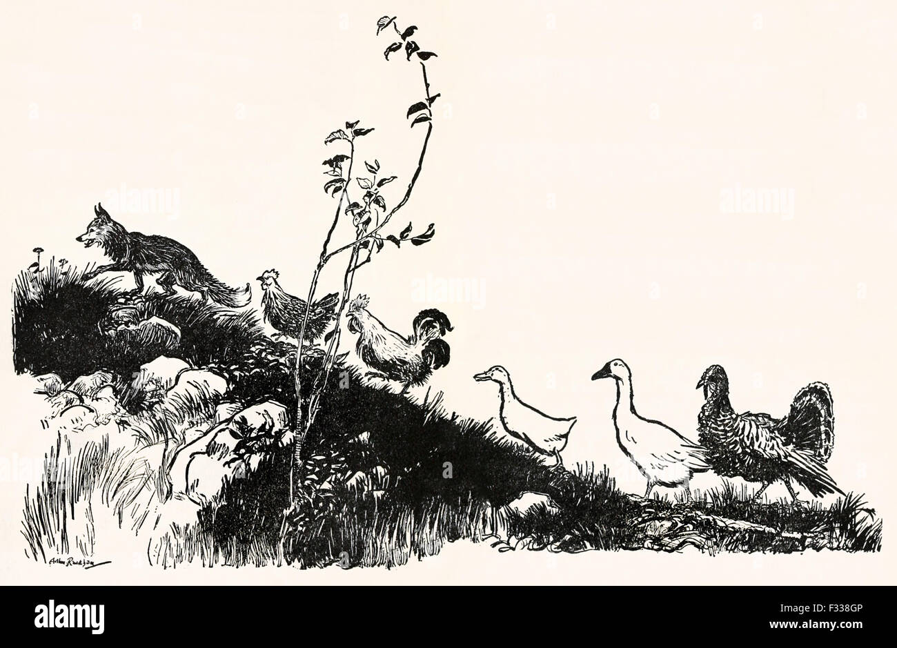 Foxy-woxy, Cocky-locky, Ducky-daddles, Goosey-poosey et la Turquie-lurkey sur leur façon de voir le roi de 'Henny-Penny' dans 'English Fairy Tales', illustration par Arthur Rackham (1867-1939). Voir la description pour plus d'informations. Banque D'Images