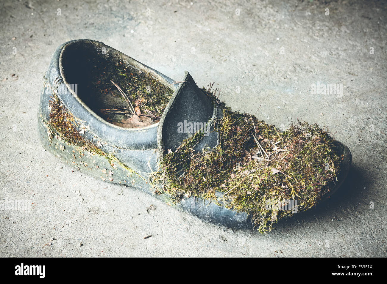 Chaussures cassées Banque de photographies et d’images à haute — free download